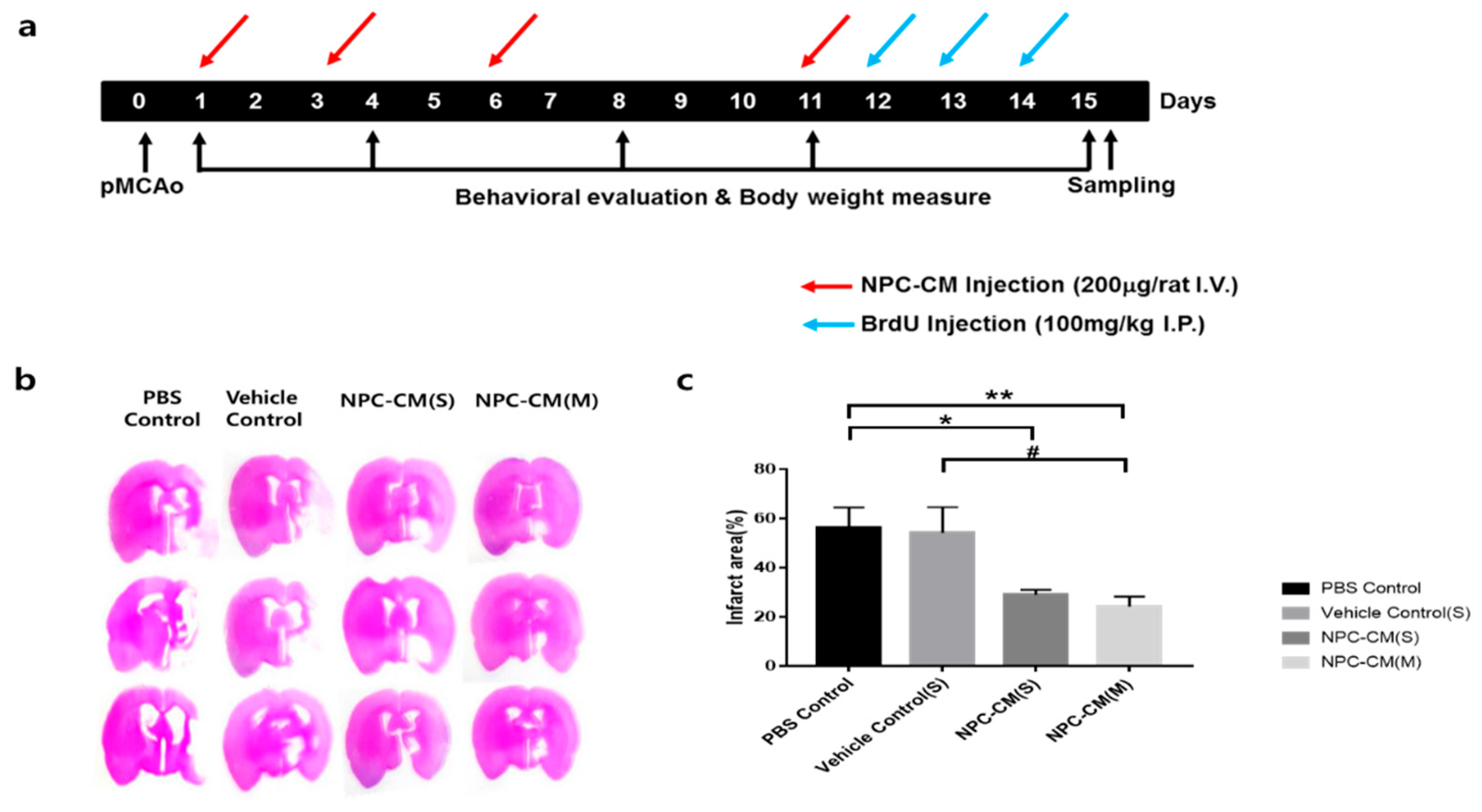 Ijms 23 07787 g001 550