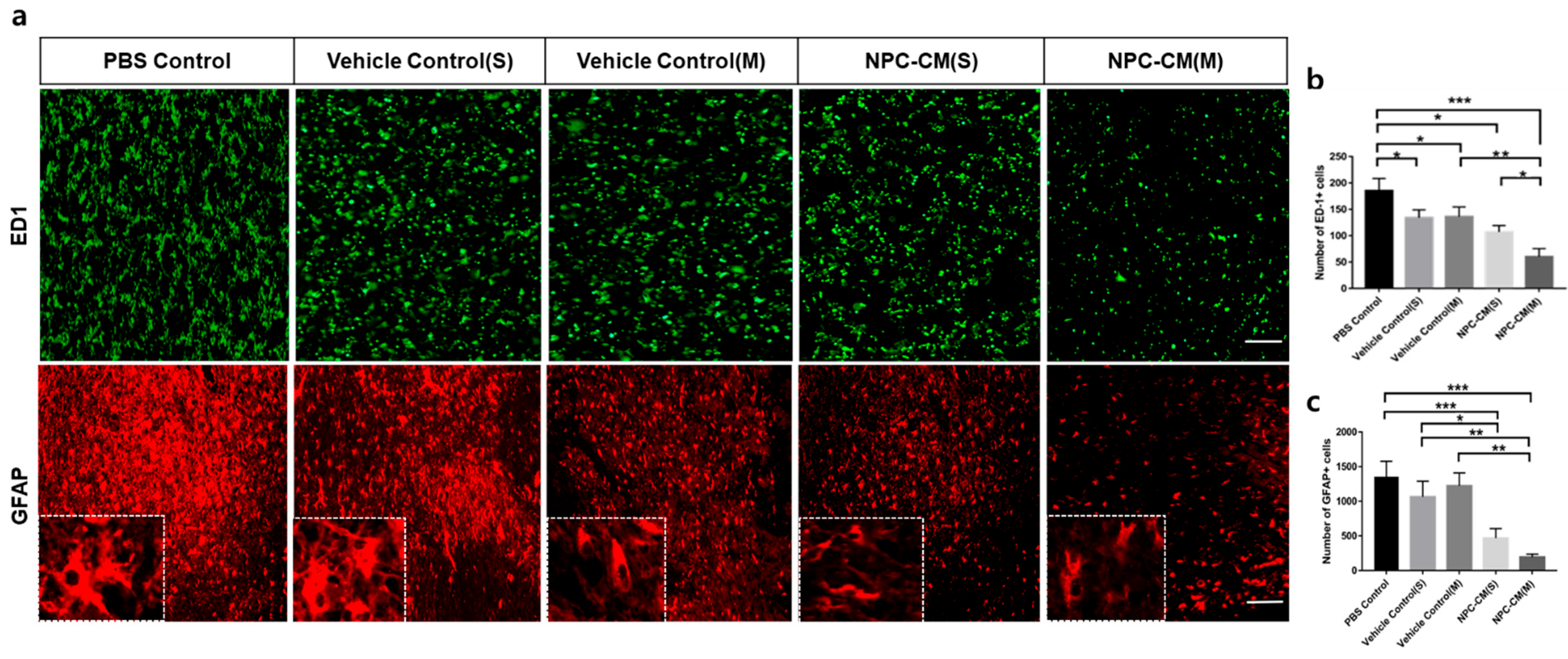 Ijms 23 07787 g003a 550