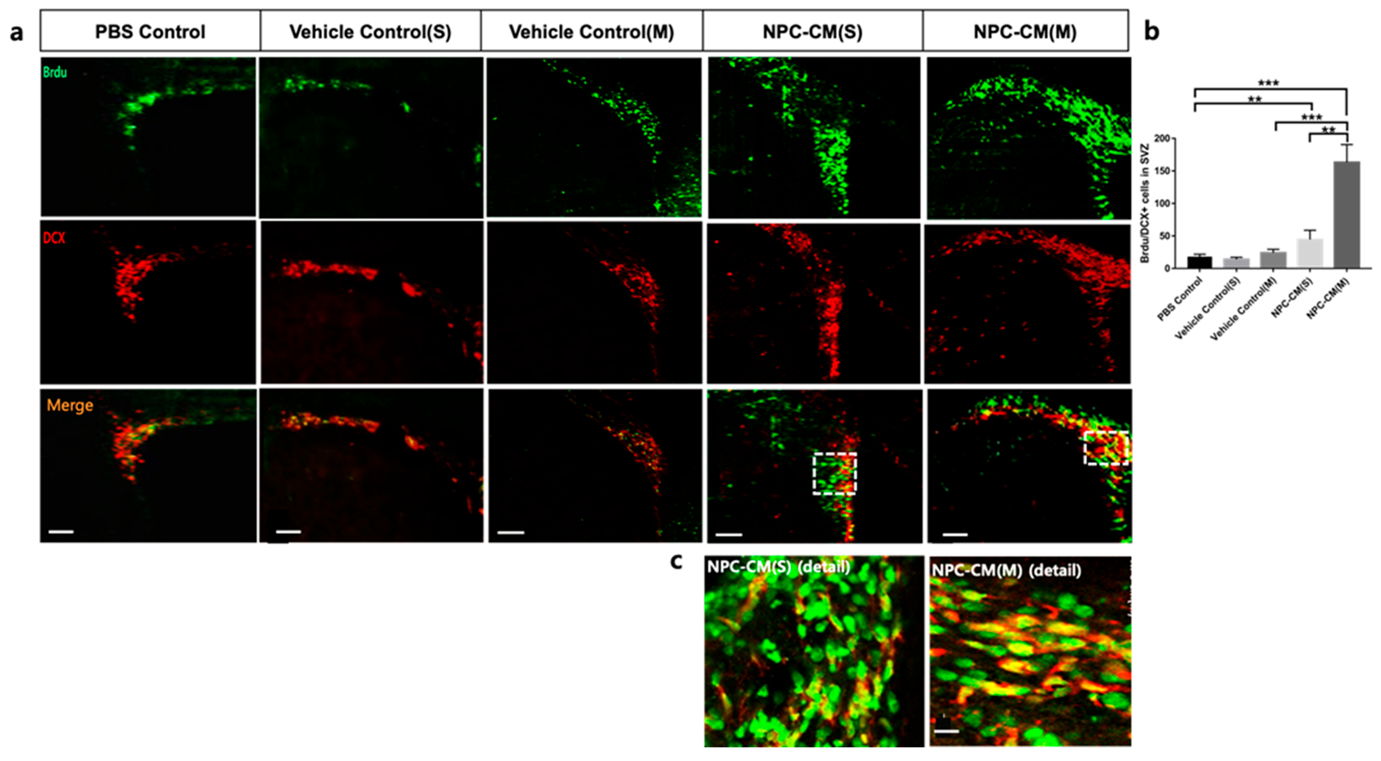 Ijms 23 07787 g004a 550