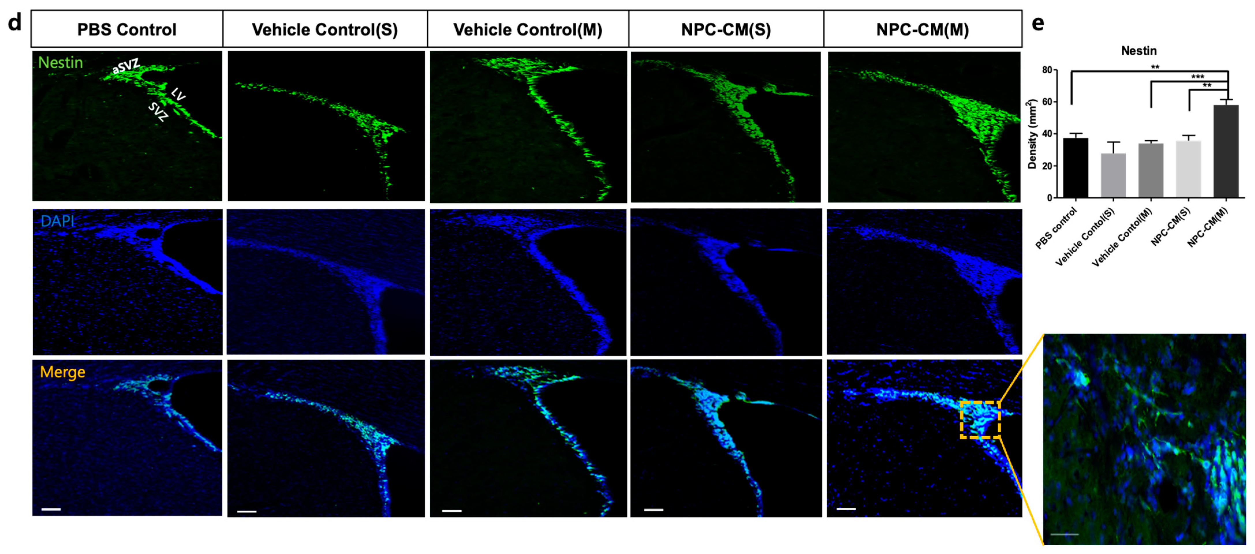 Ijms 23 07787 g004b 550