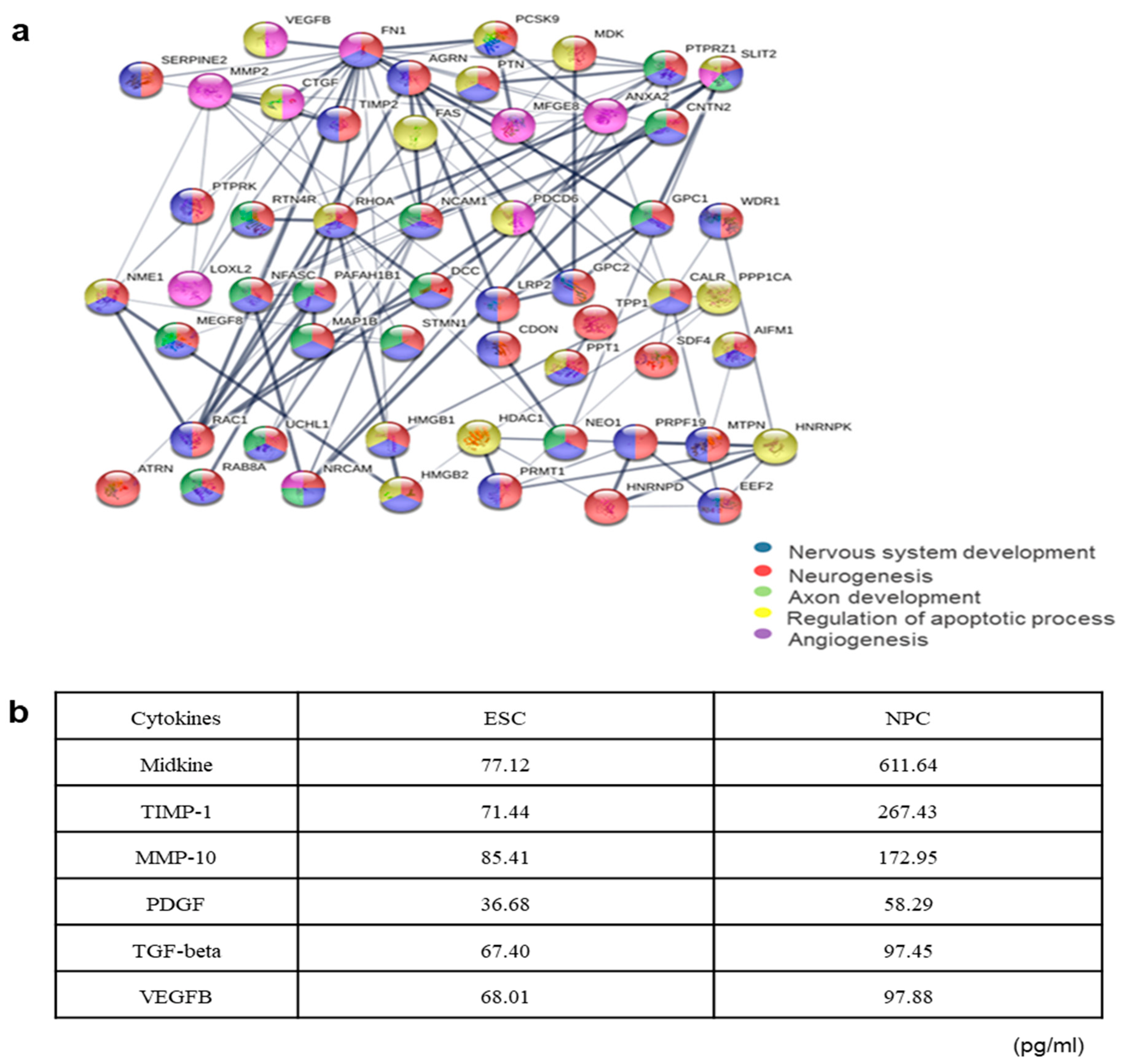Ijms 23 07787 g005 550