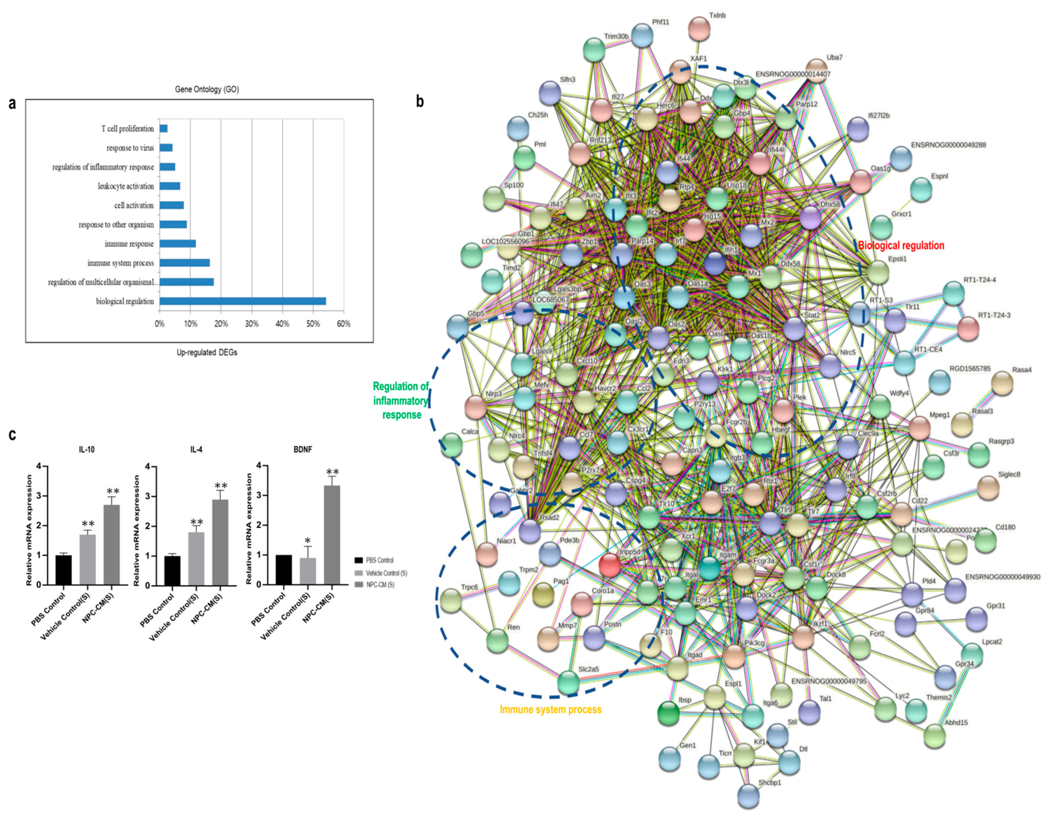 Ijms 23 07787 g006 550
