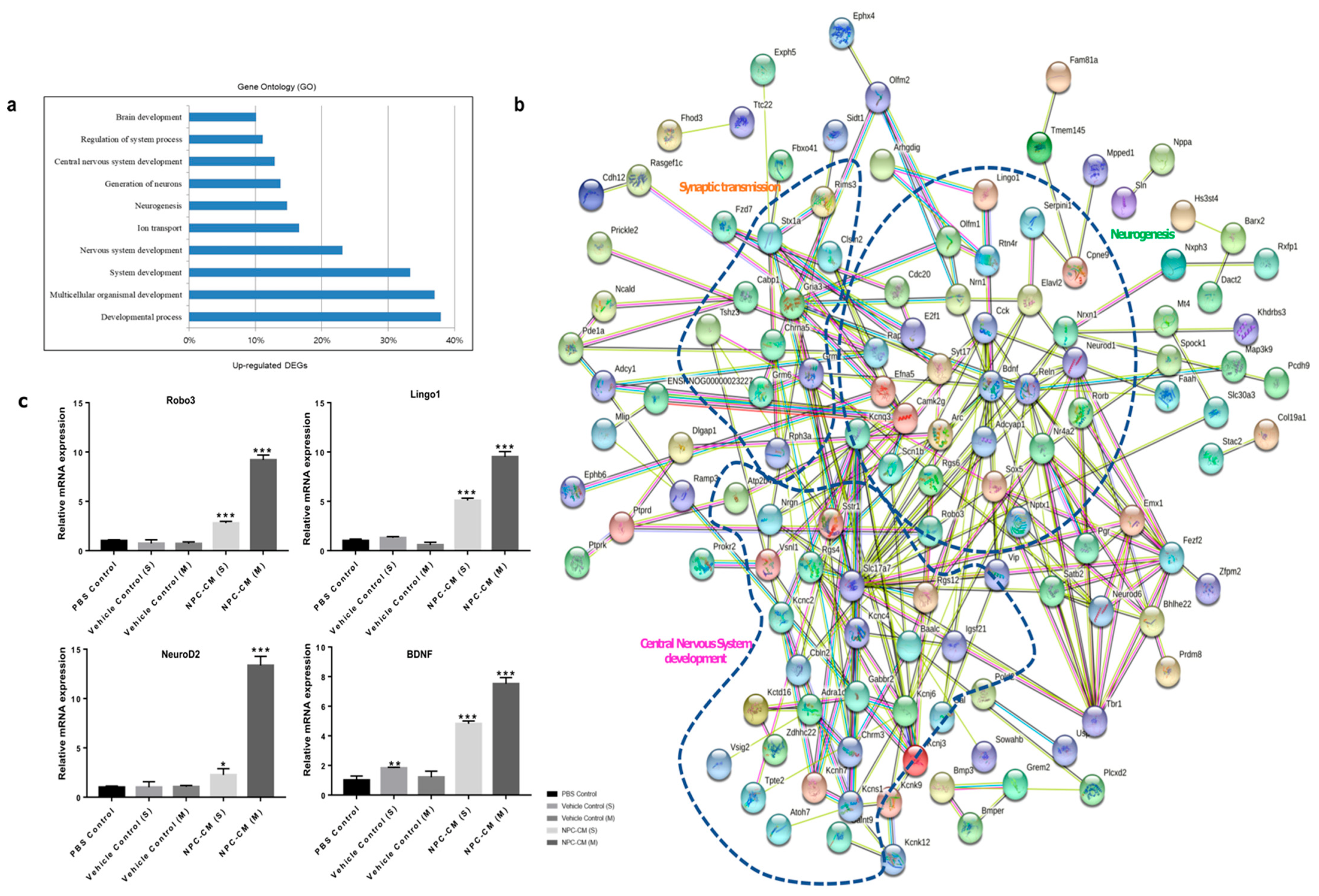 Ijms 23 07787 g007 550