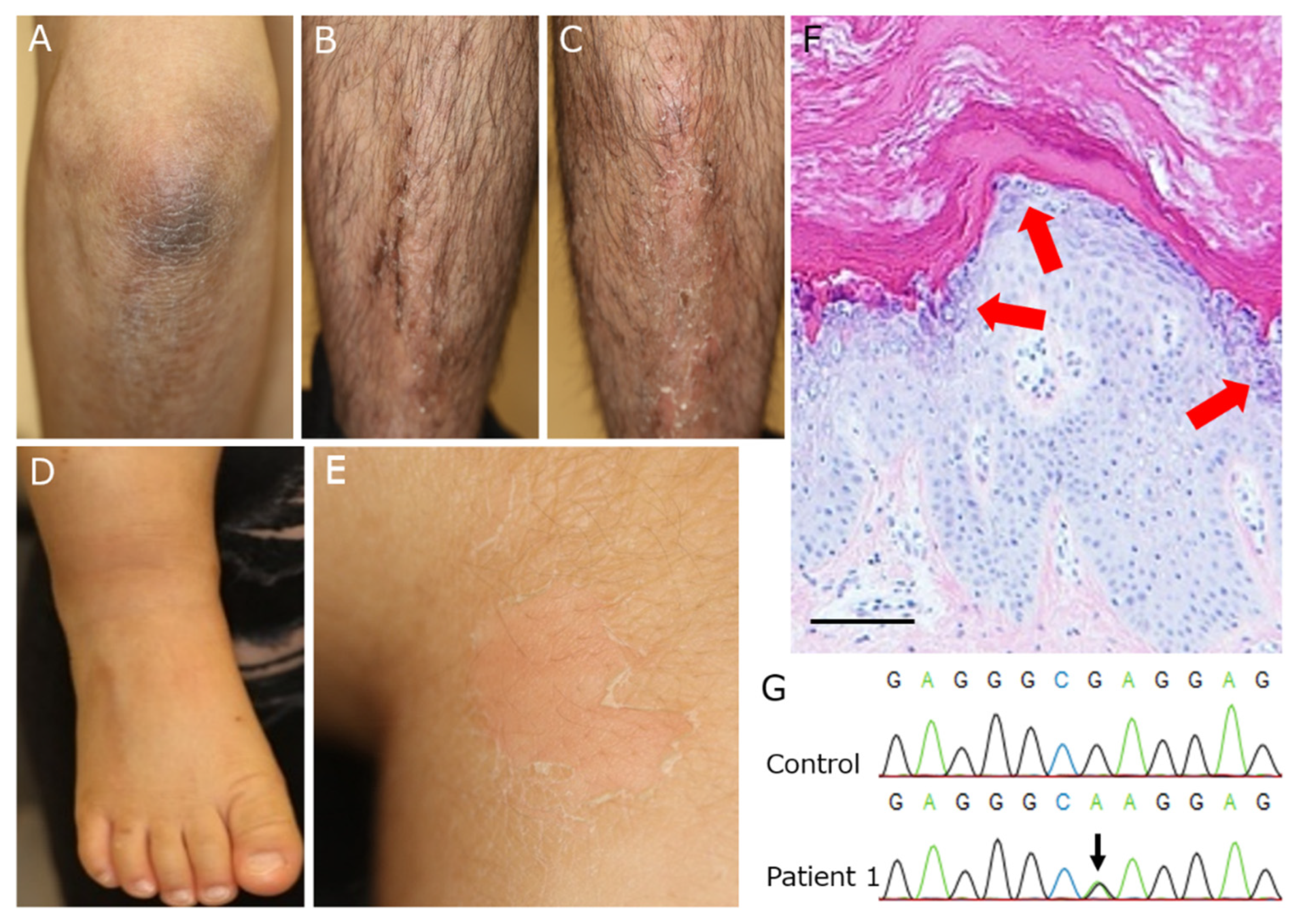 Ijms 23 07791 g001 Ijms 23 07791 g001