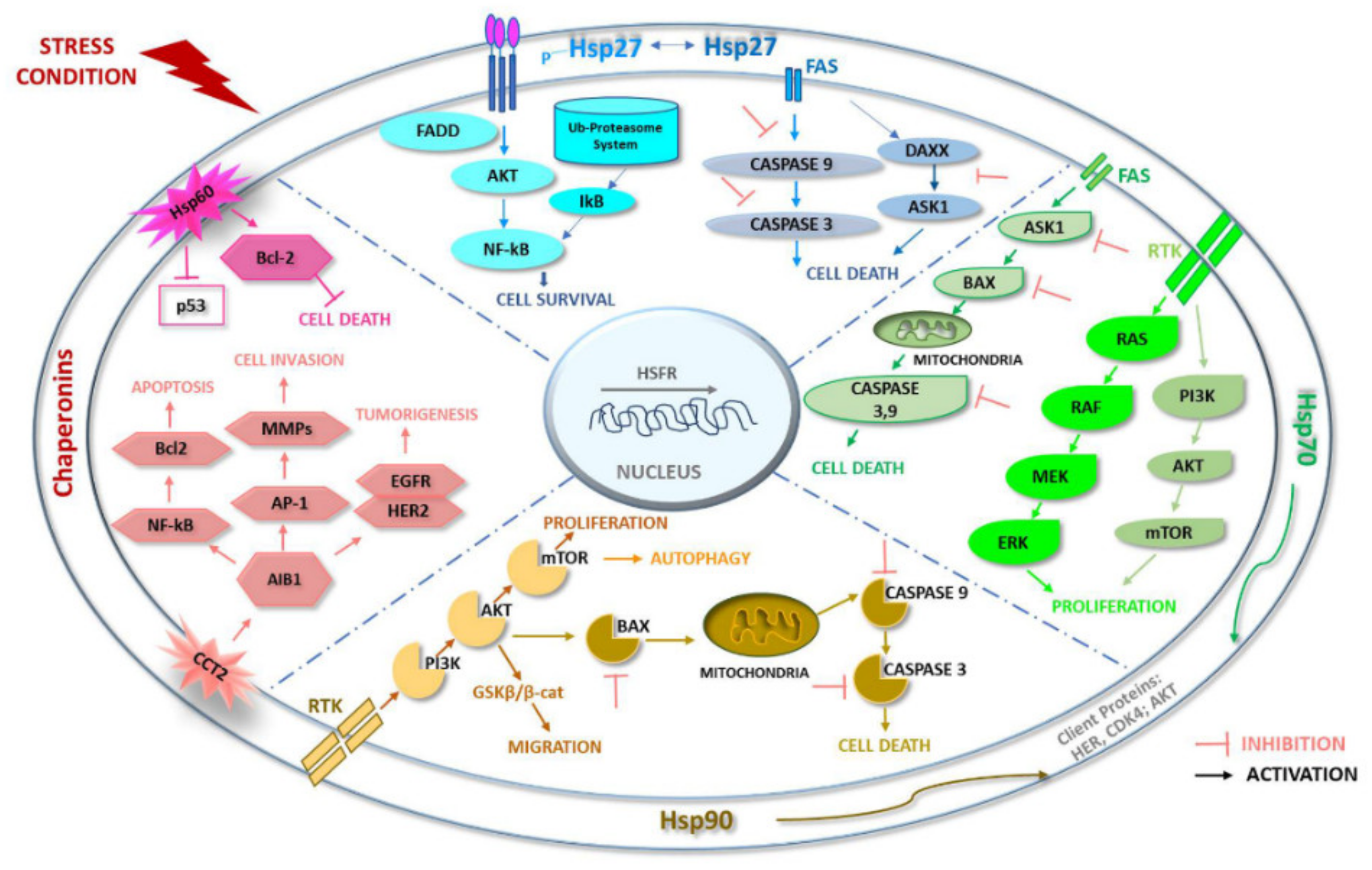 Ijms 23 07792 g002 550