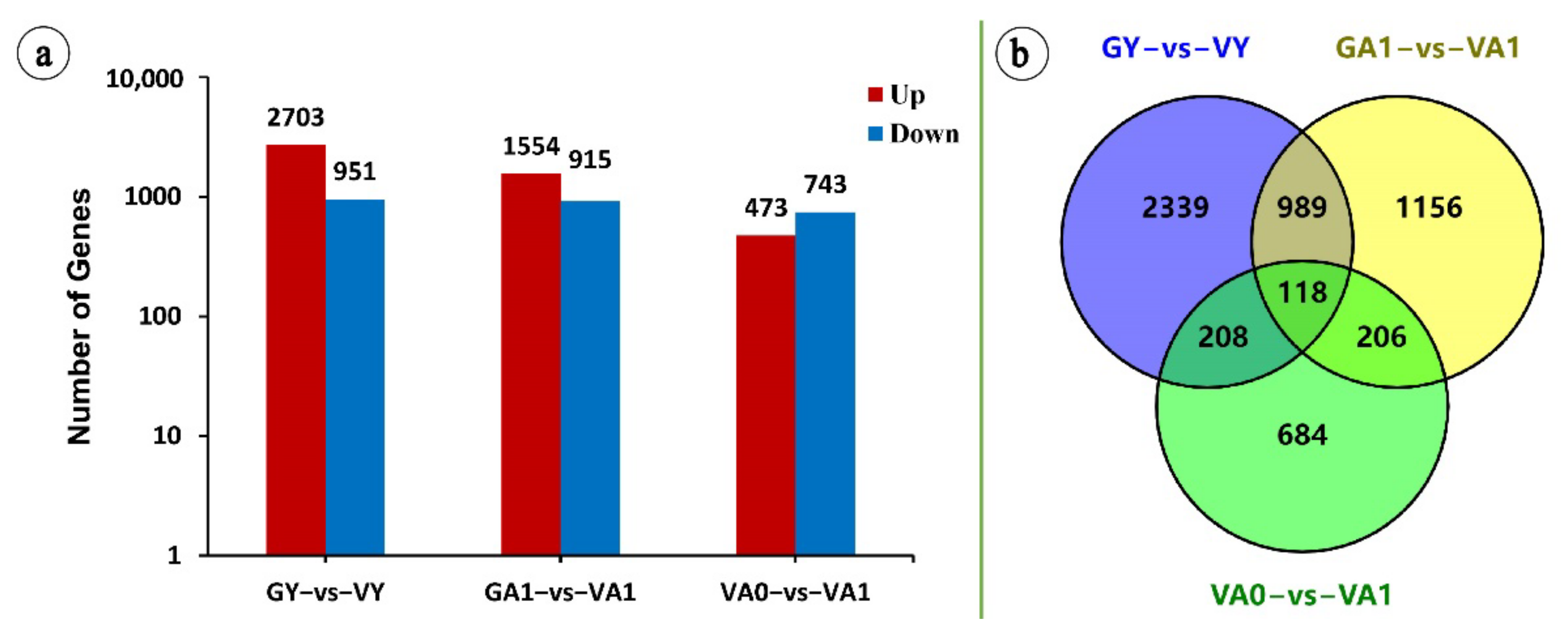 Transcriptome Analysis of Air Space-Type Variegation