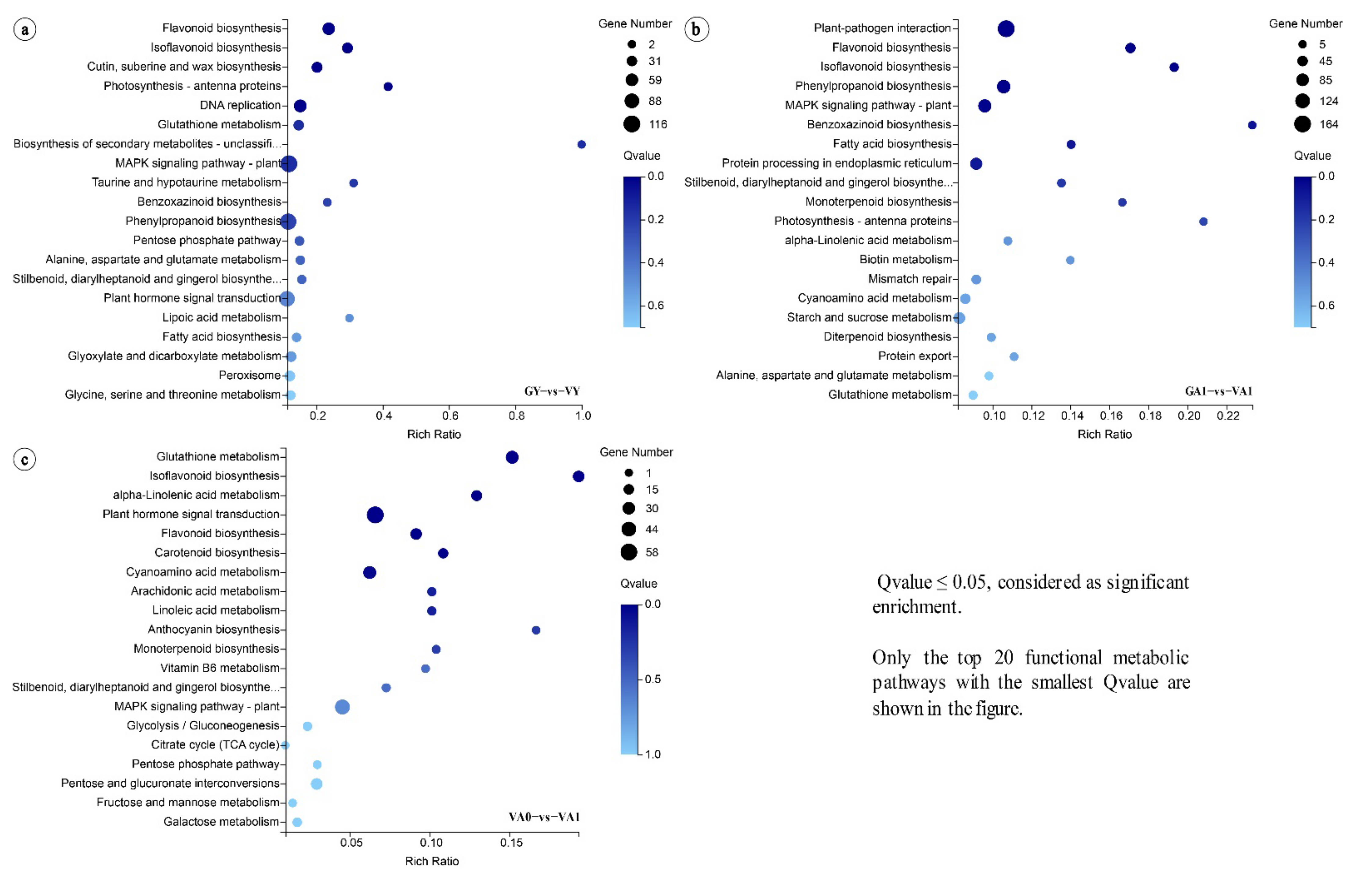 Ijms 23 07794 g002 Ijms 23 07794 g002