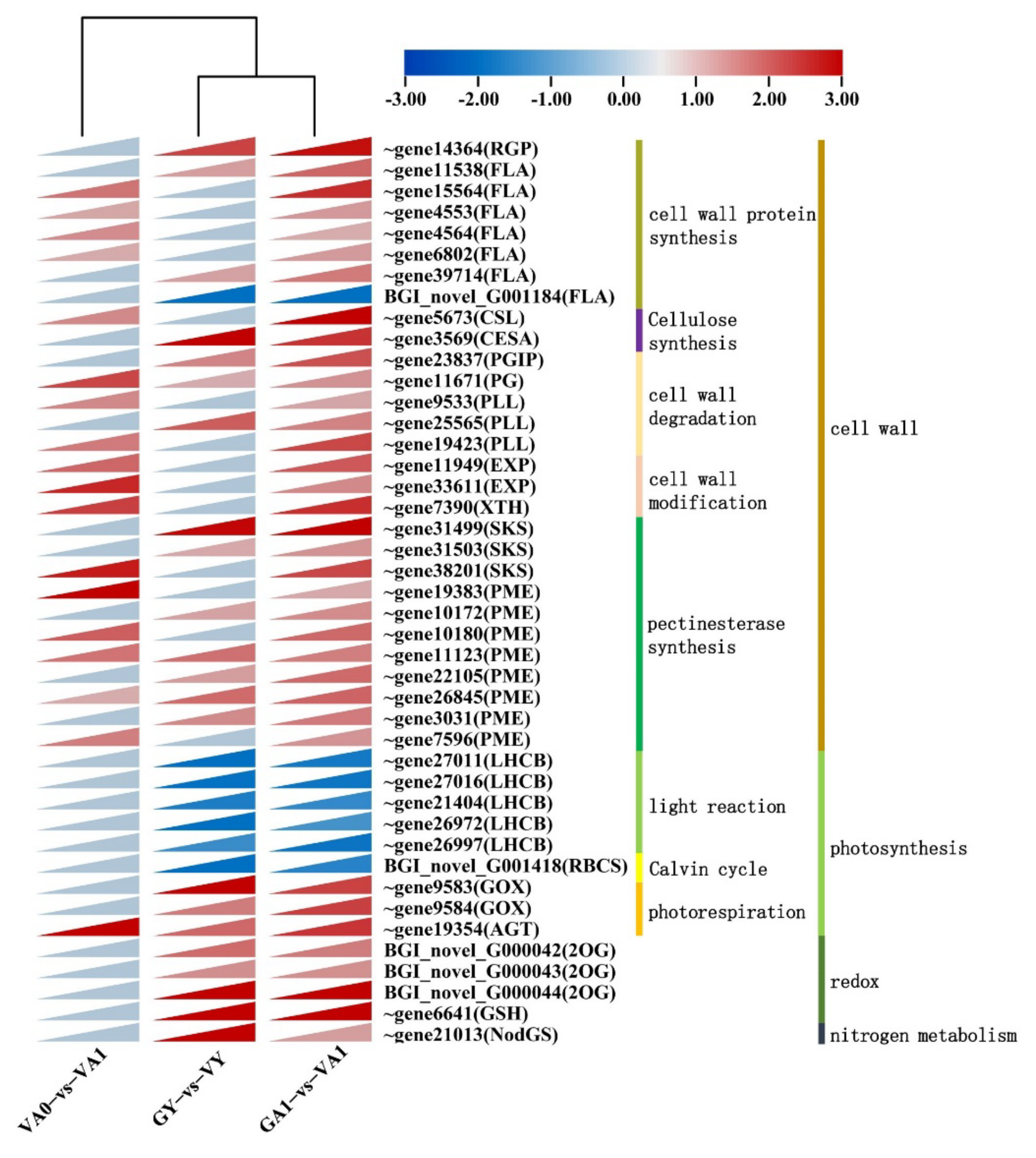 Ijms 23 07794 g004 Ijms 23 07794 g004