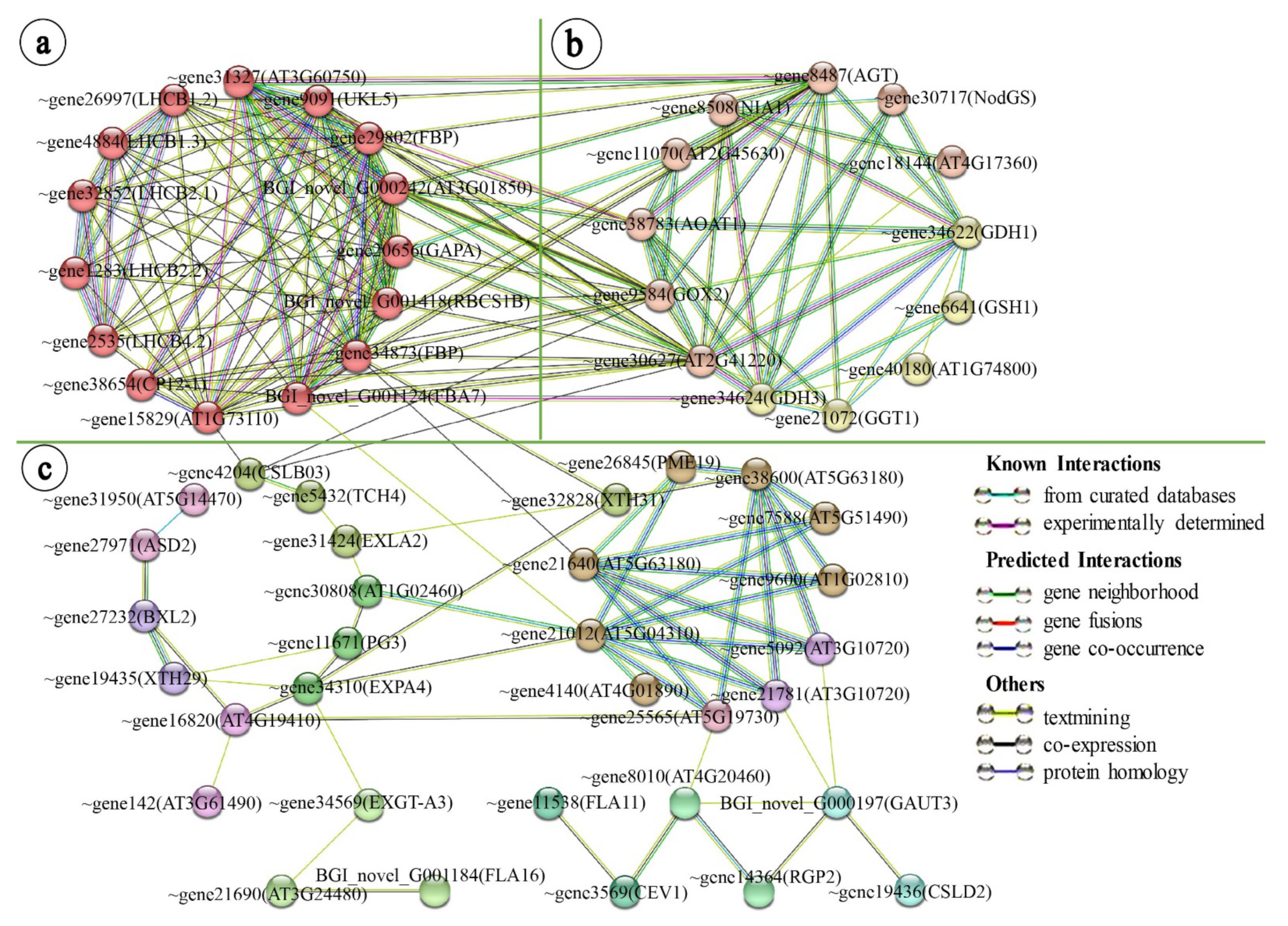 Ijms 23 07794 g005 Ijms 23 07794 g005