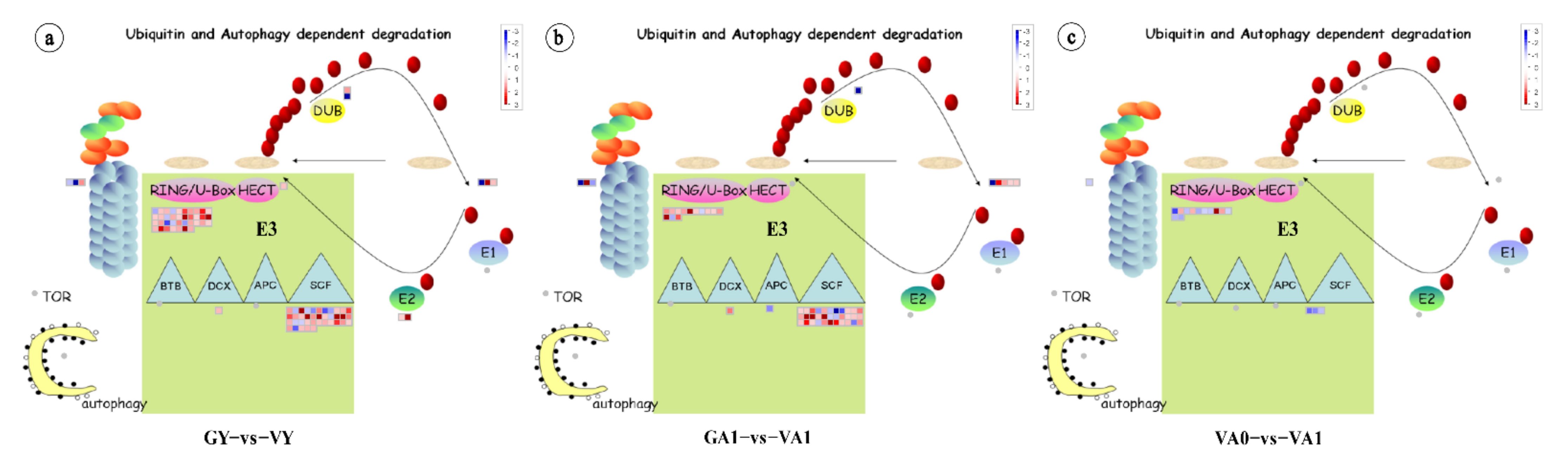 Ijms 23 07794 g006 Ijms 23 07794 g006