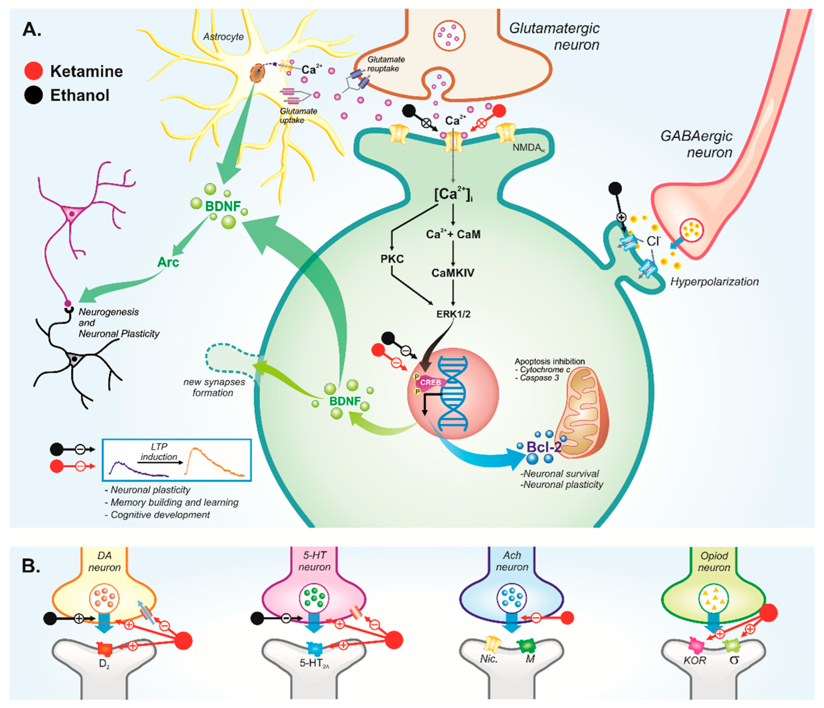 Ijms 23 07800 g002 550