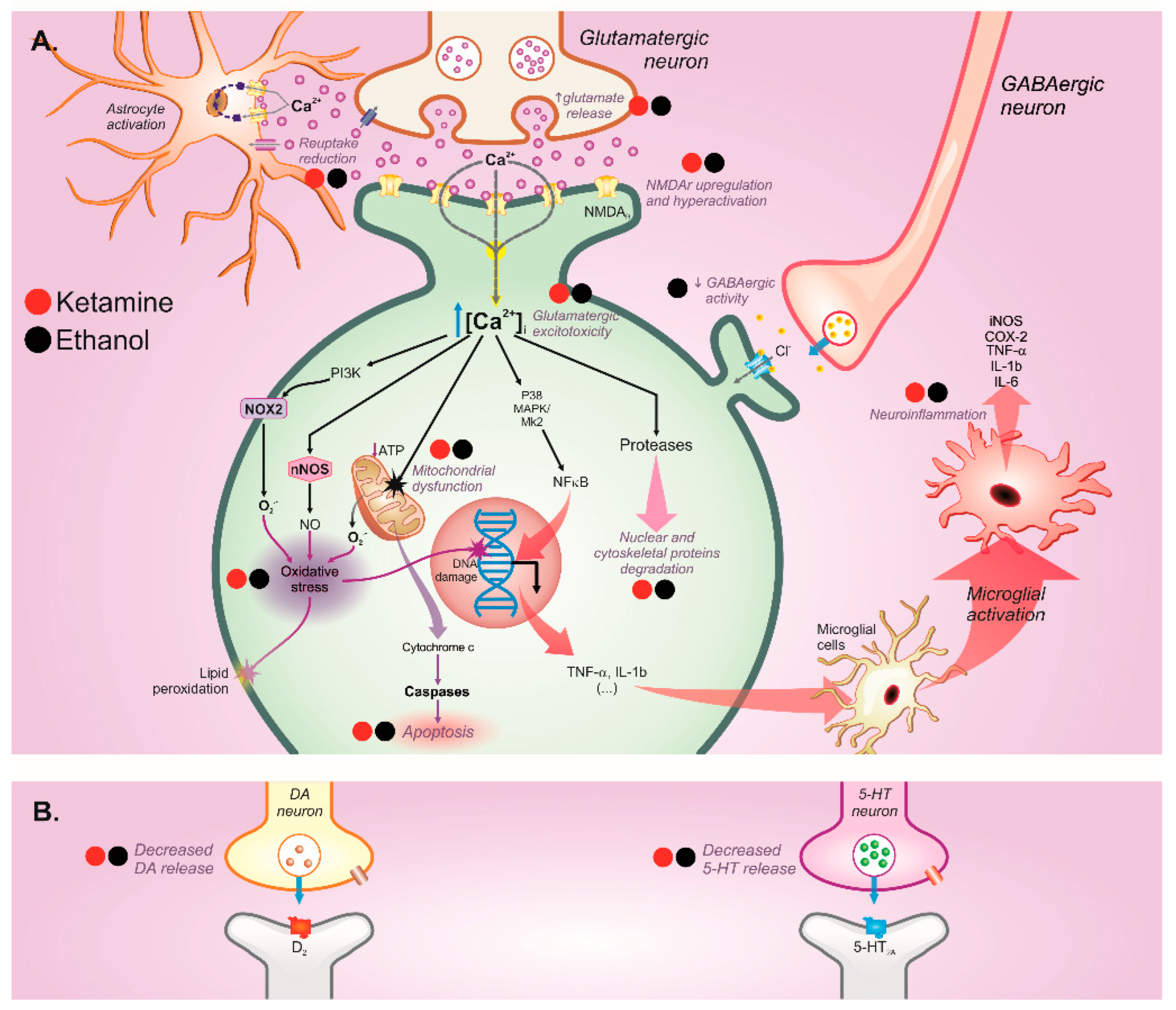 Ijms 23 07800 g003 550