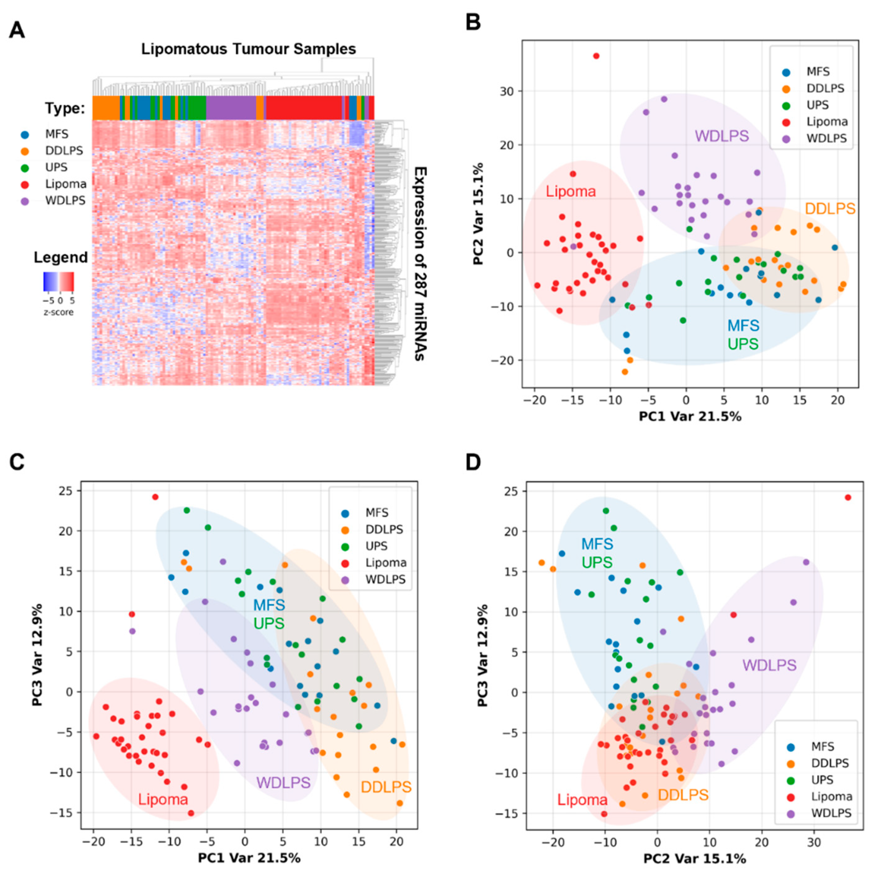 Ijms 23 07804 g003 Ijms 23 07804 g003