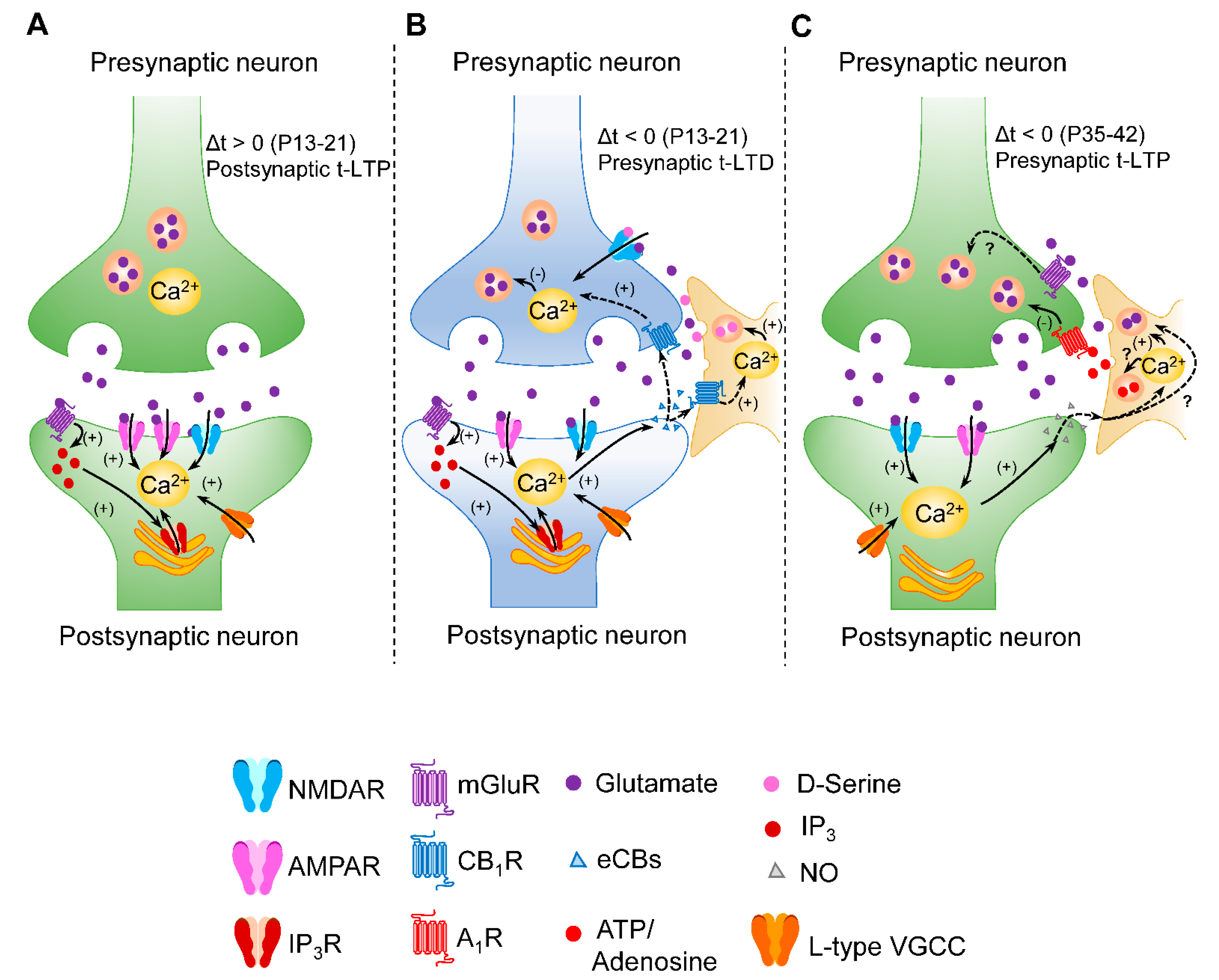 Ijms 23 07807 g001 550