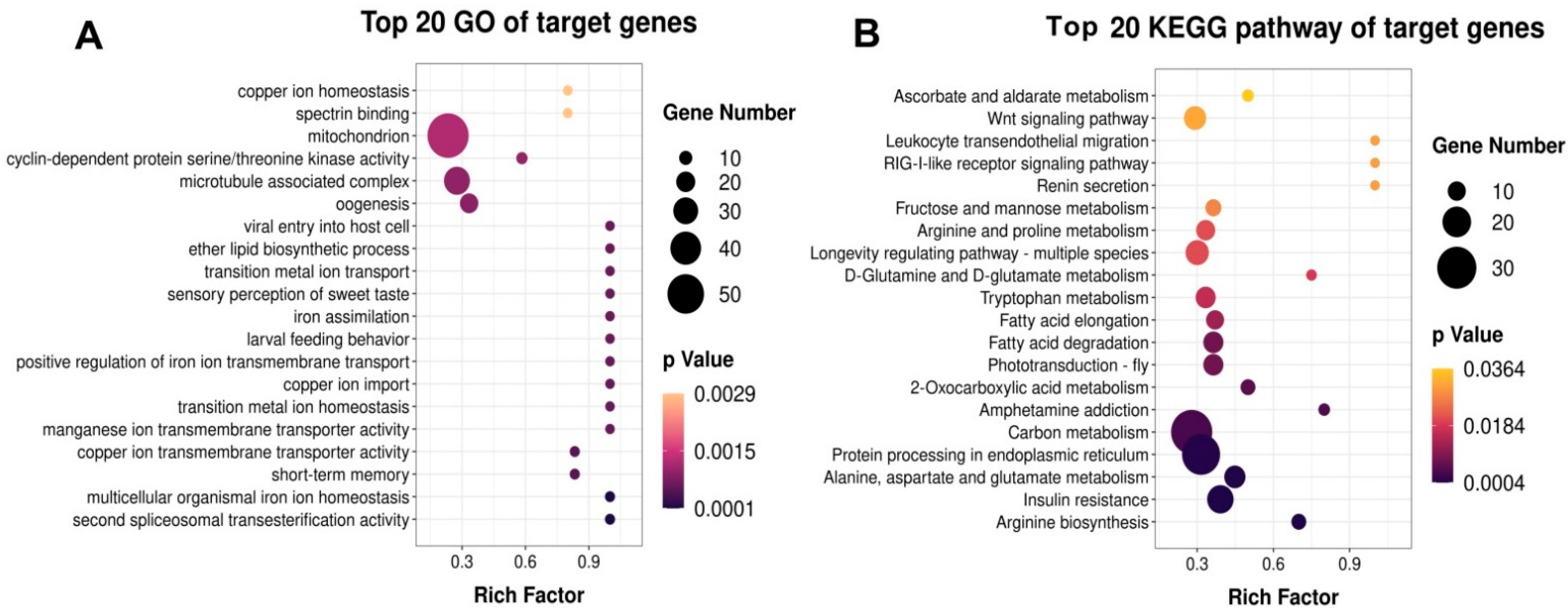 Ijms 23 07808 g005 550