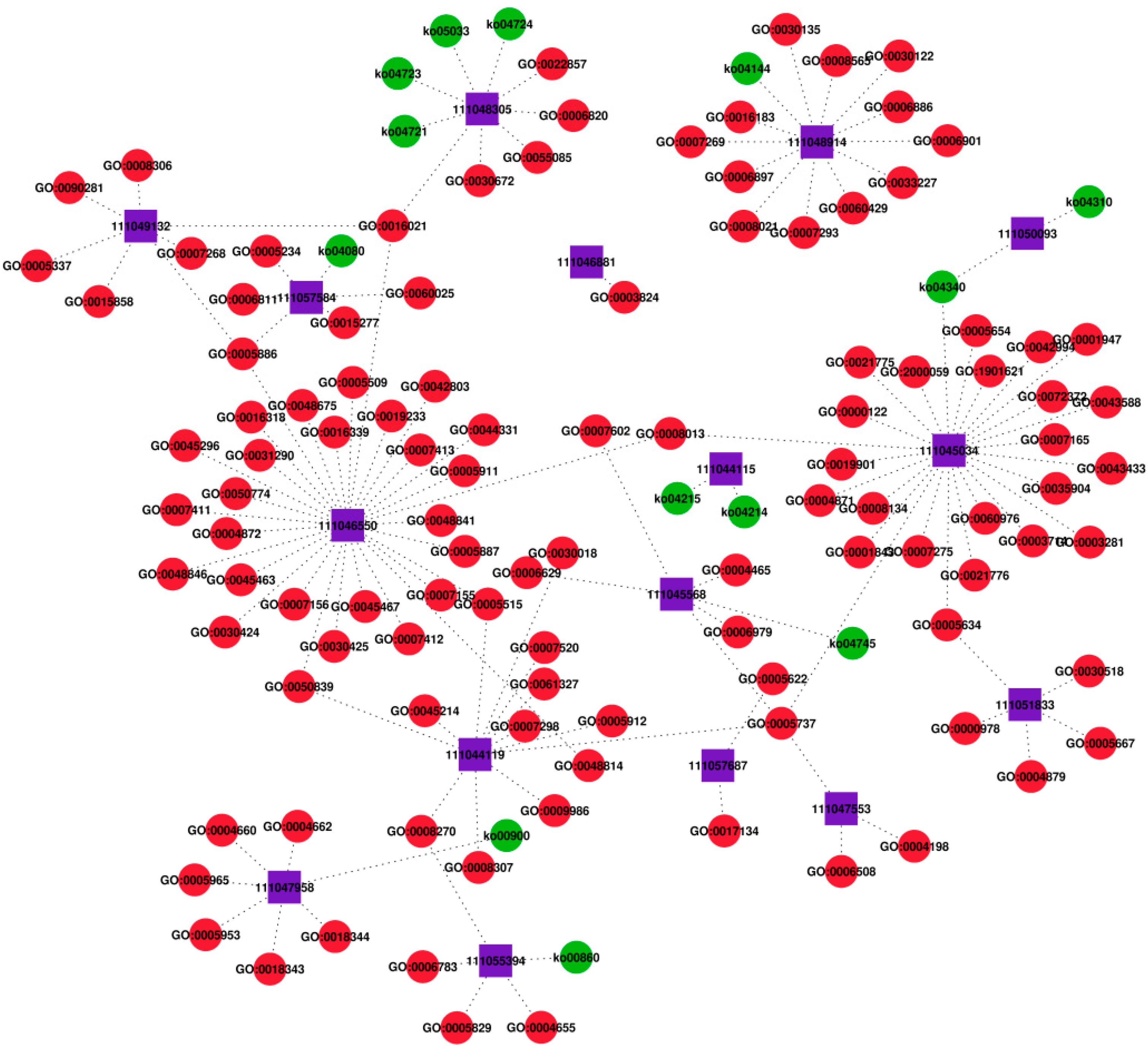 Ijms 23 07808 g007 550