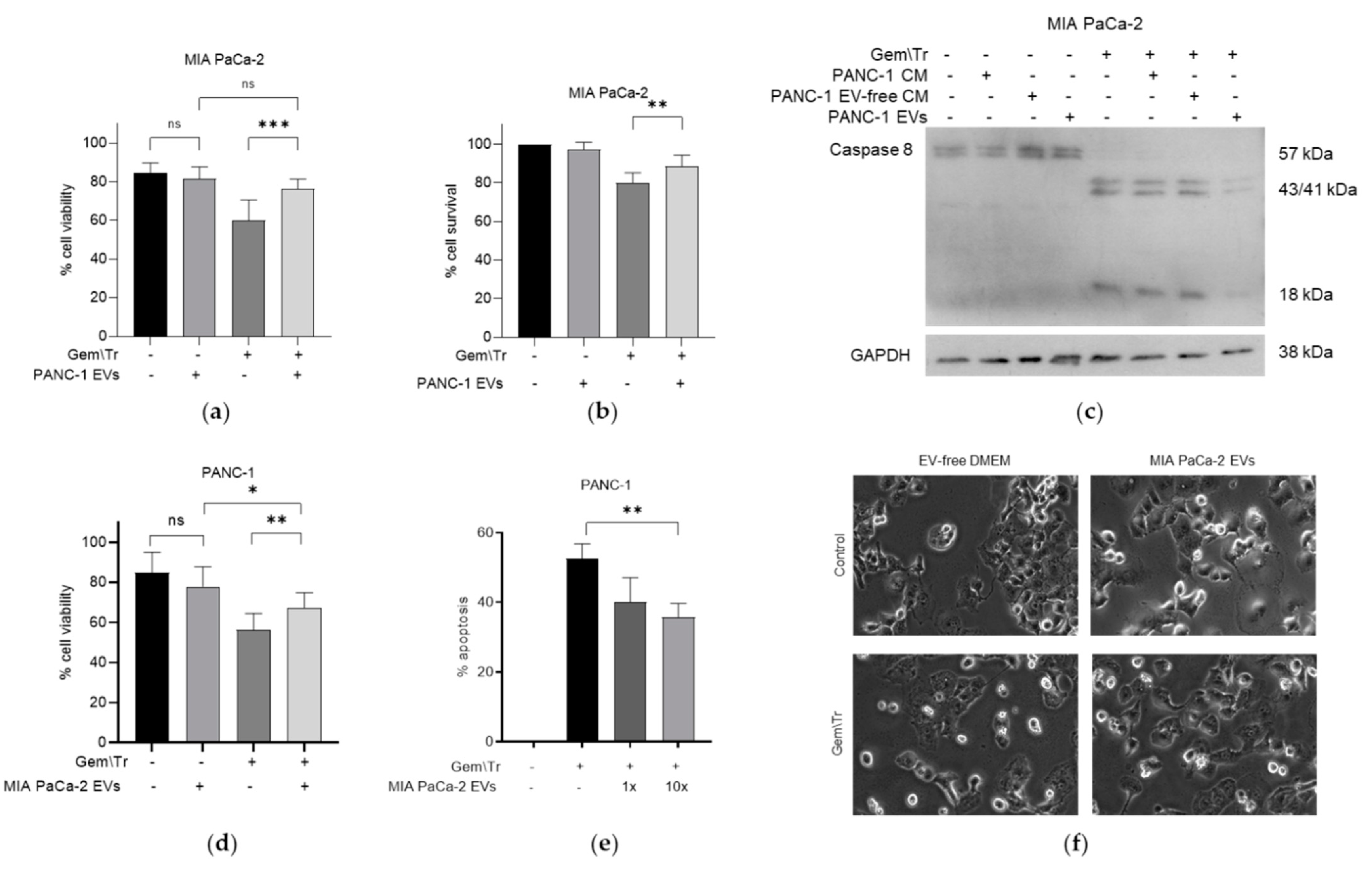 Ijms 23 07810 g003 550