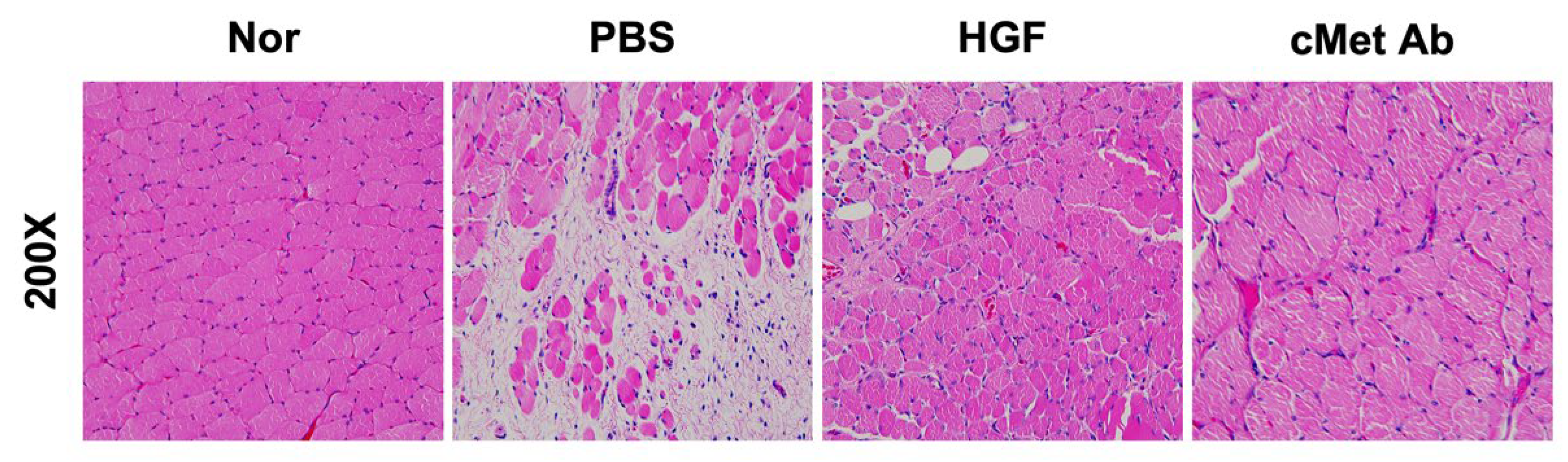 Ijms 23 07818 g001 550