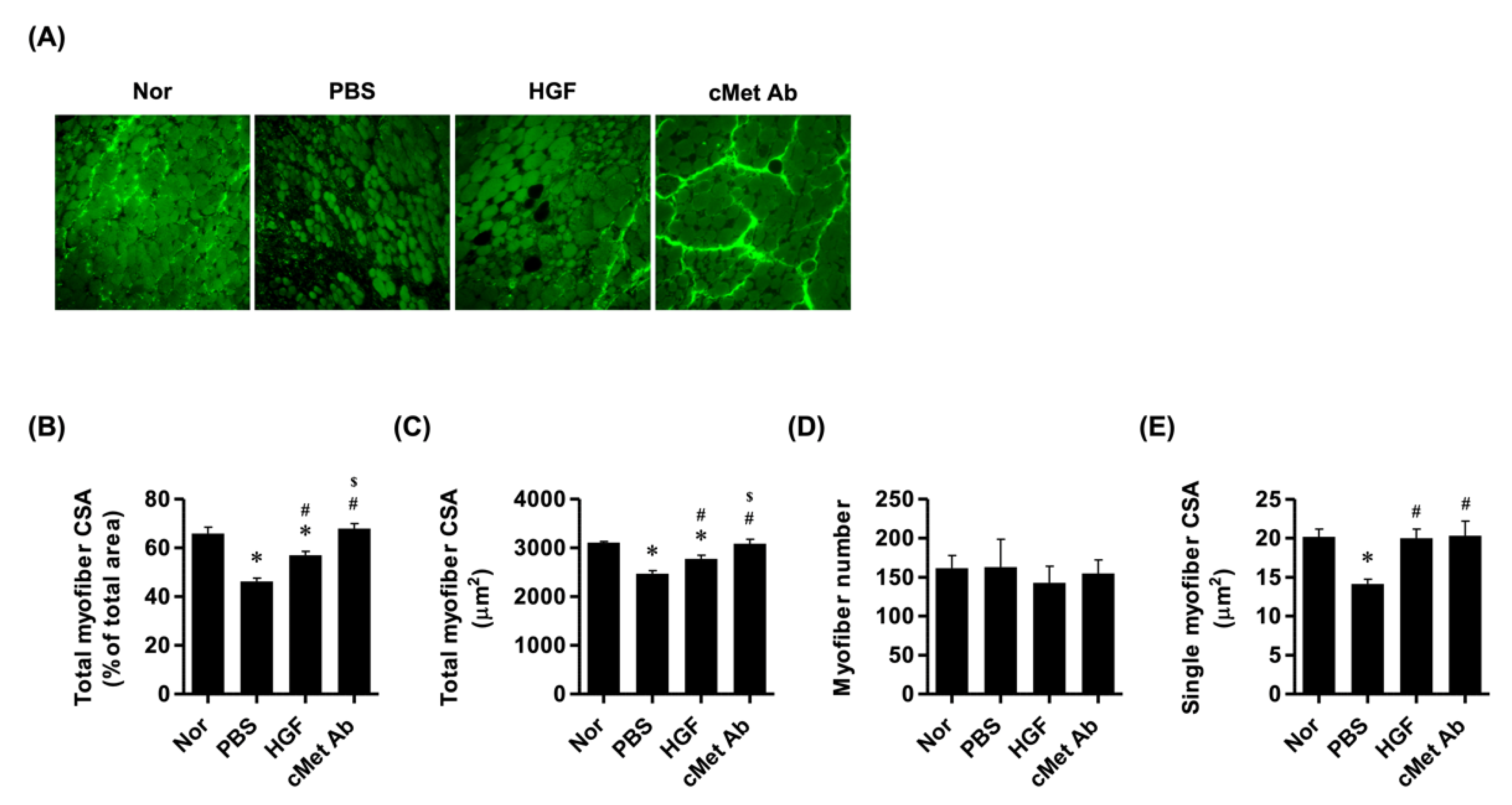 Ijms 23 07818 g002 550