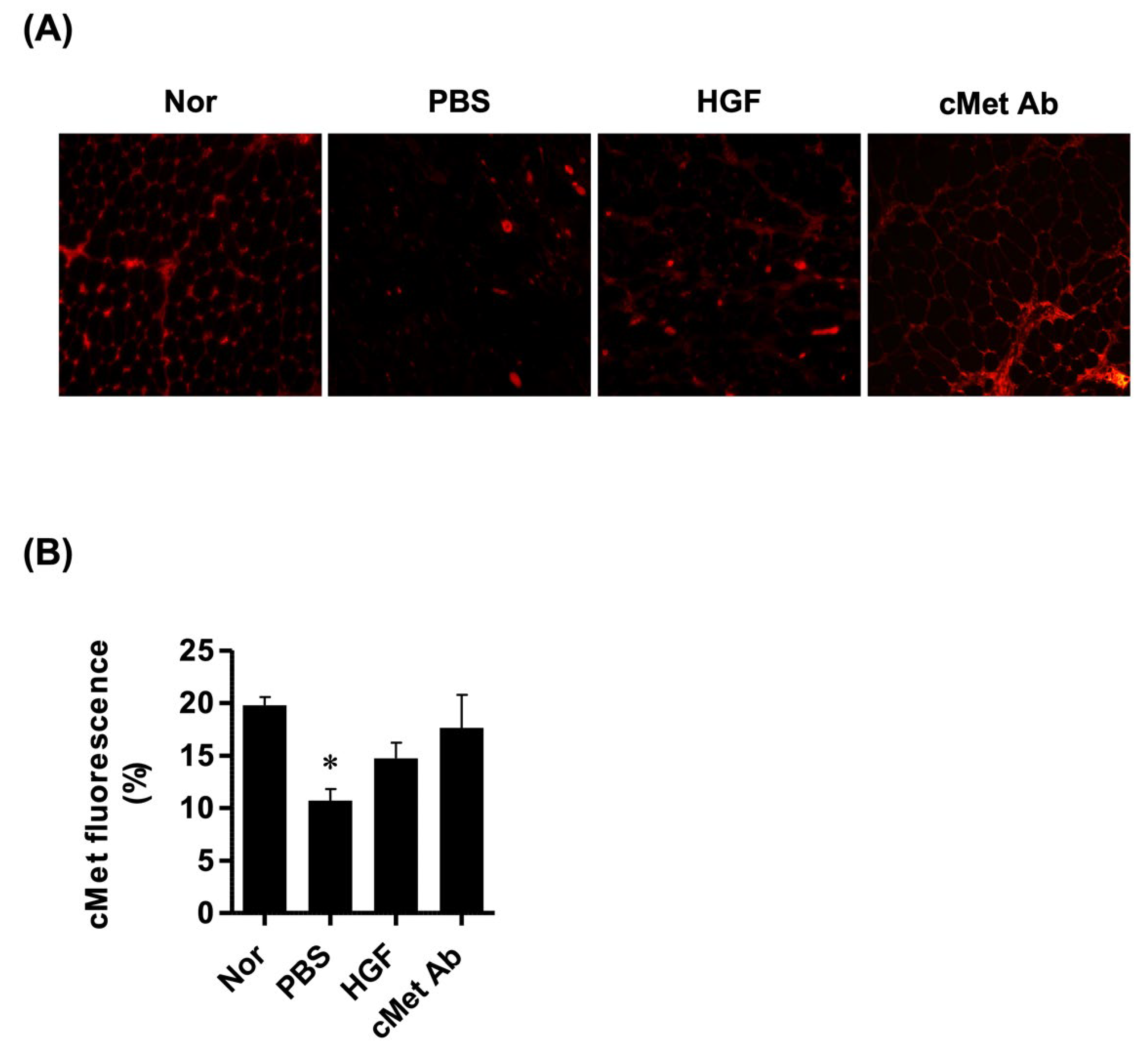 Ijms 23 07818 g003 550