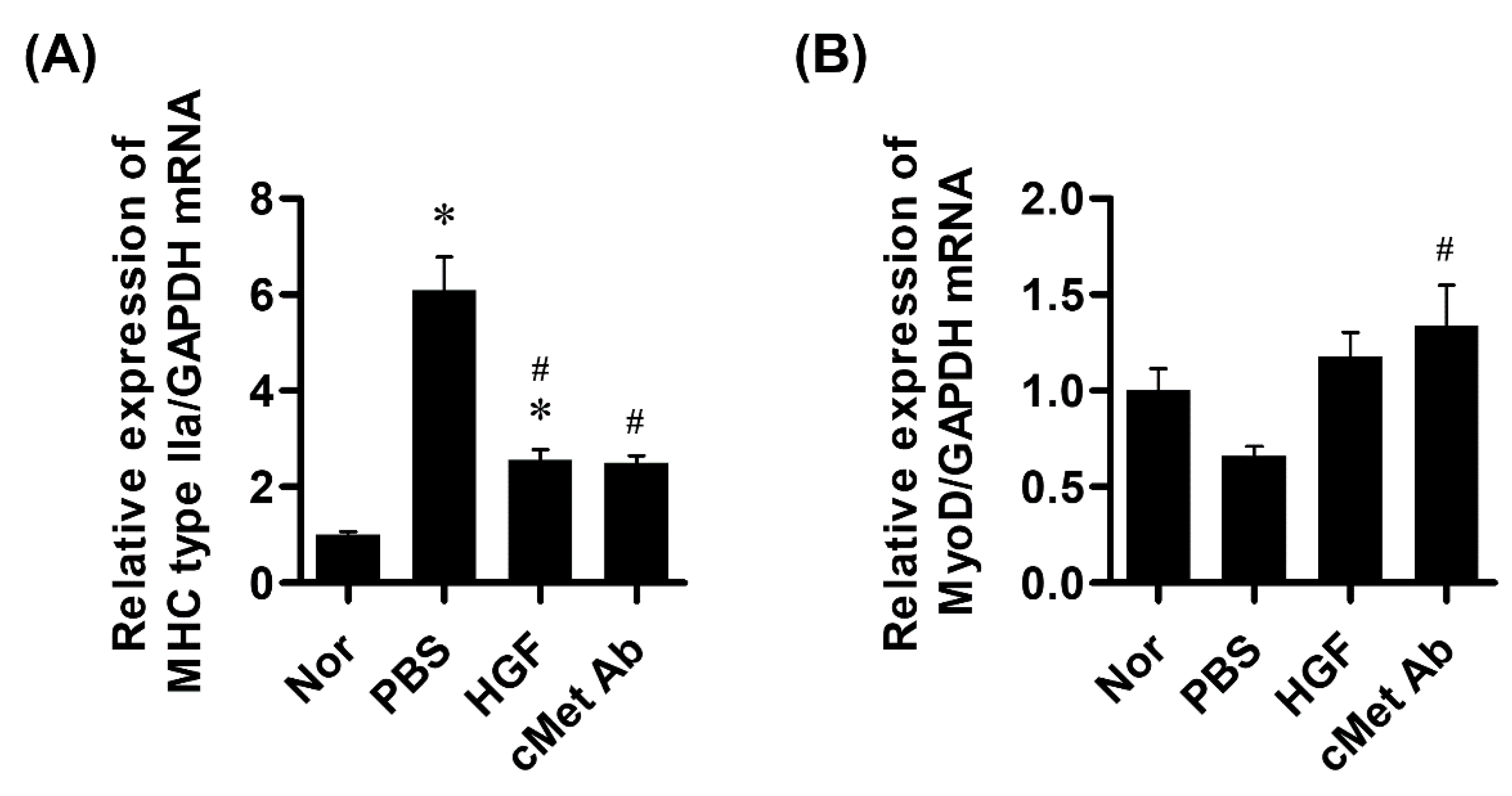 Ijms 23 07818 g004 550