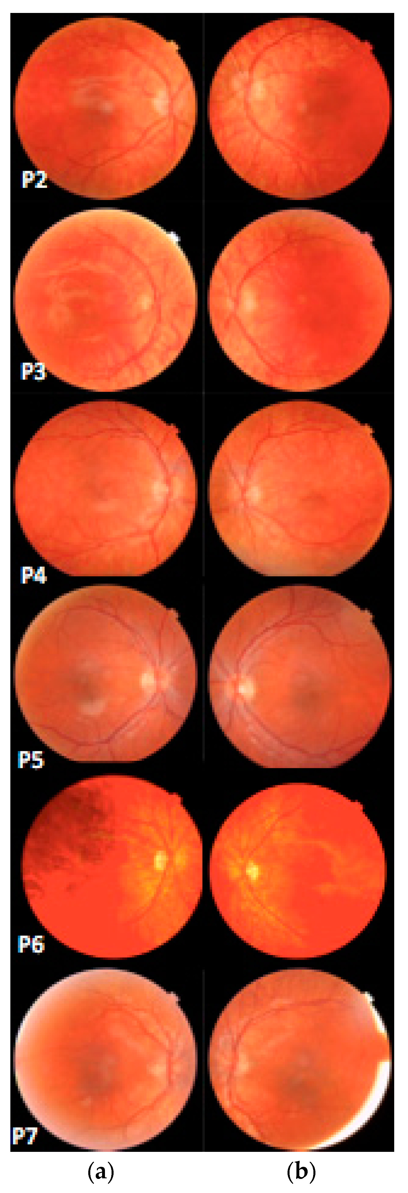 Ijms 23 07825 g003 550