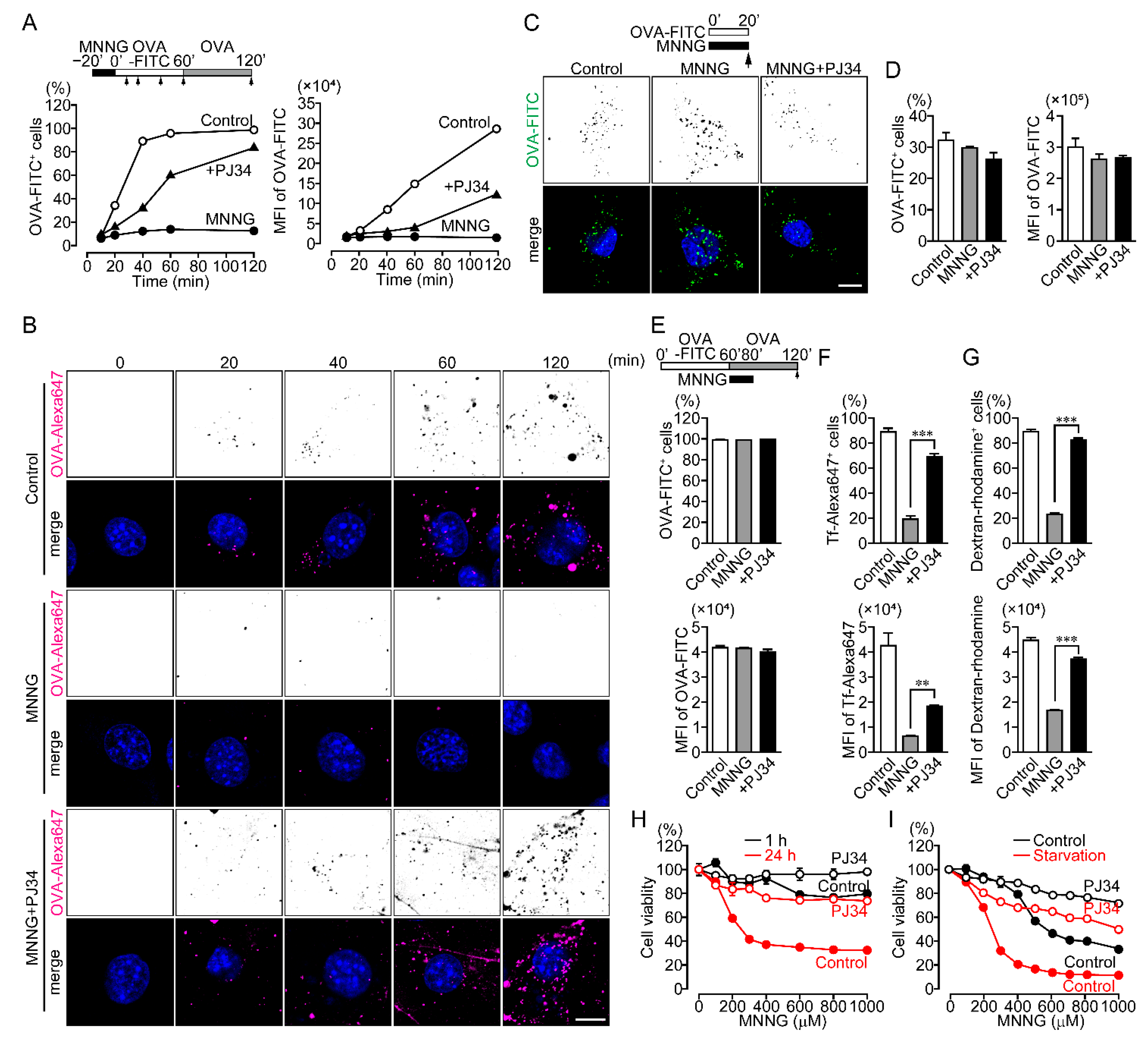 Ijms 23 07827 g002 550