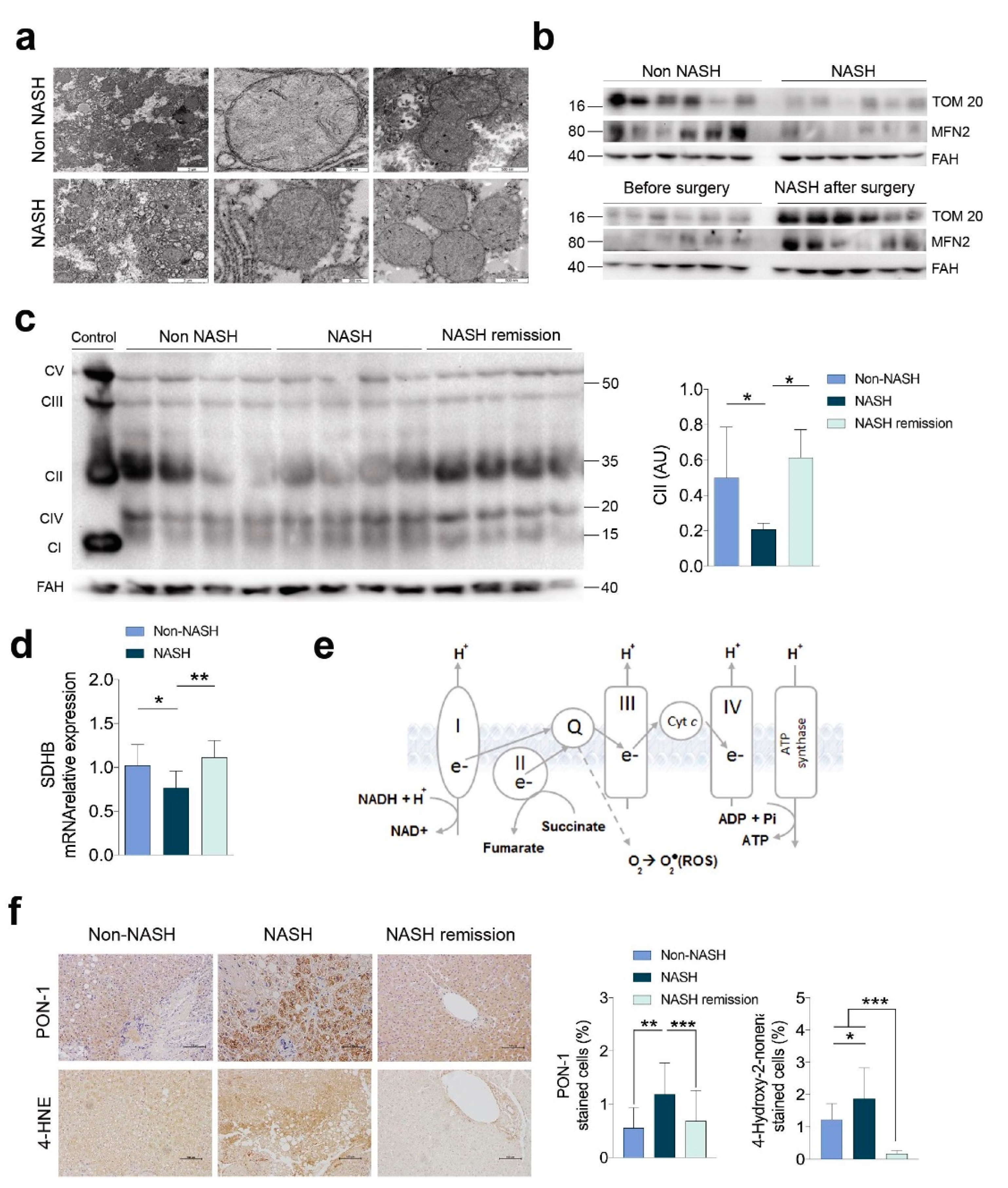 Ijms 23 07830 g001 550