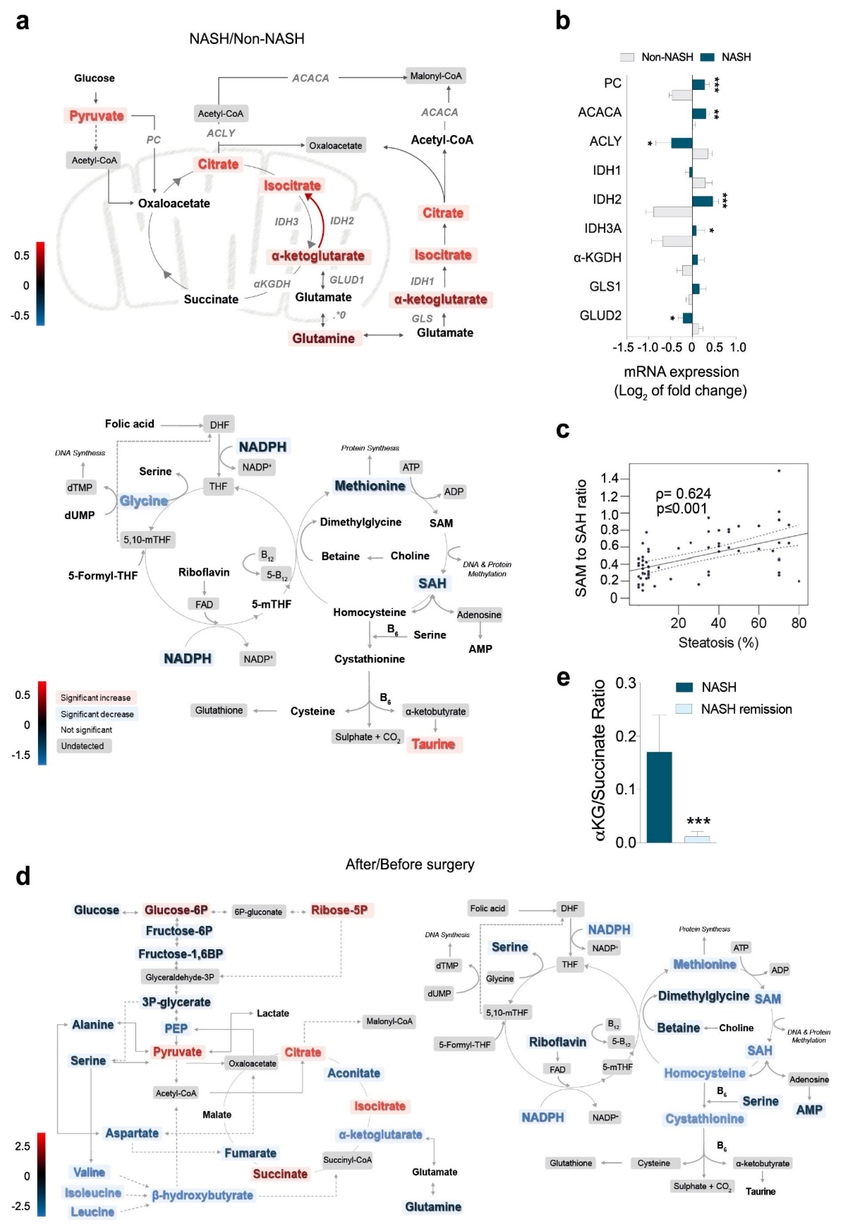 Ijms 23 07830 g004 550