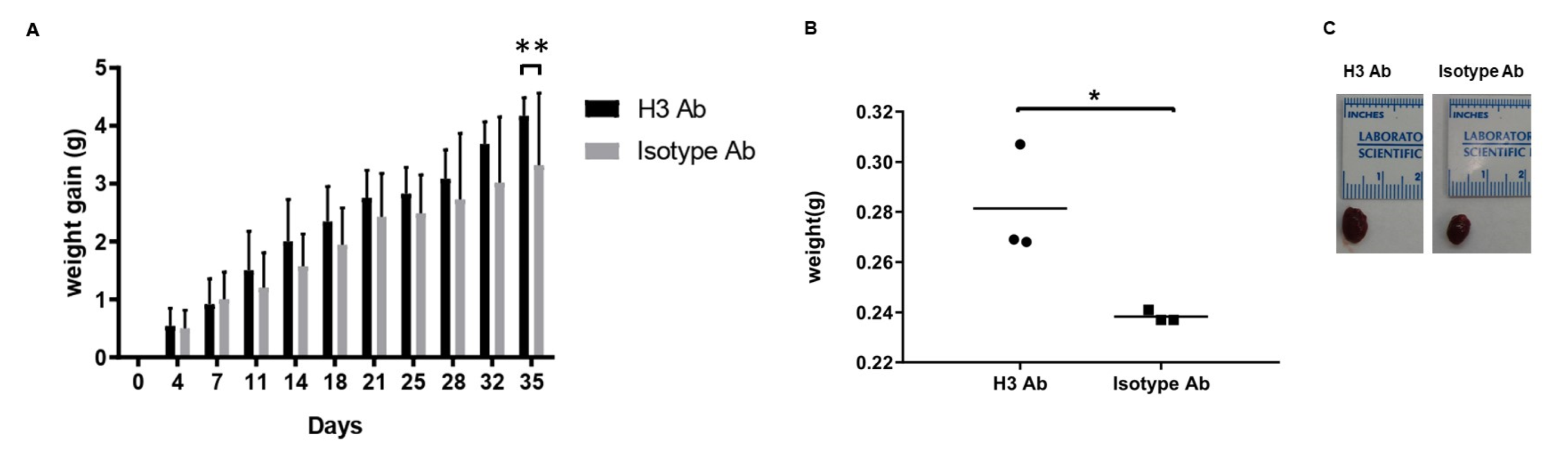 Ijms 23 07834 g001a 550