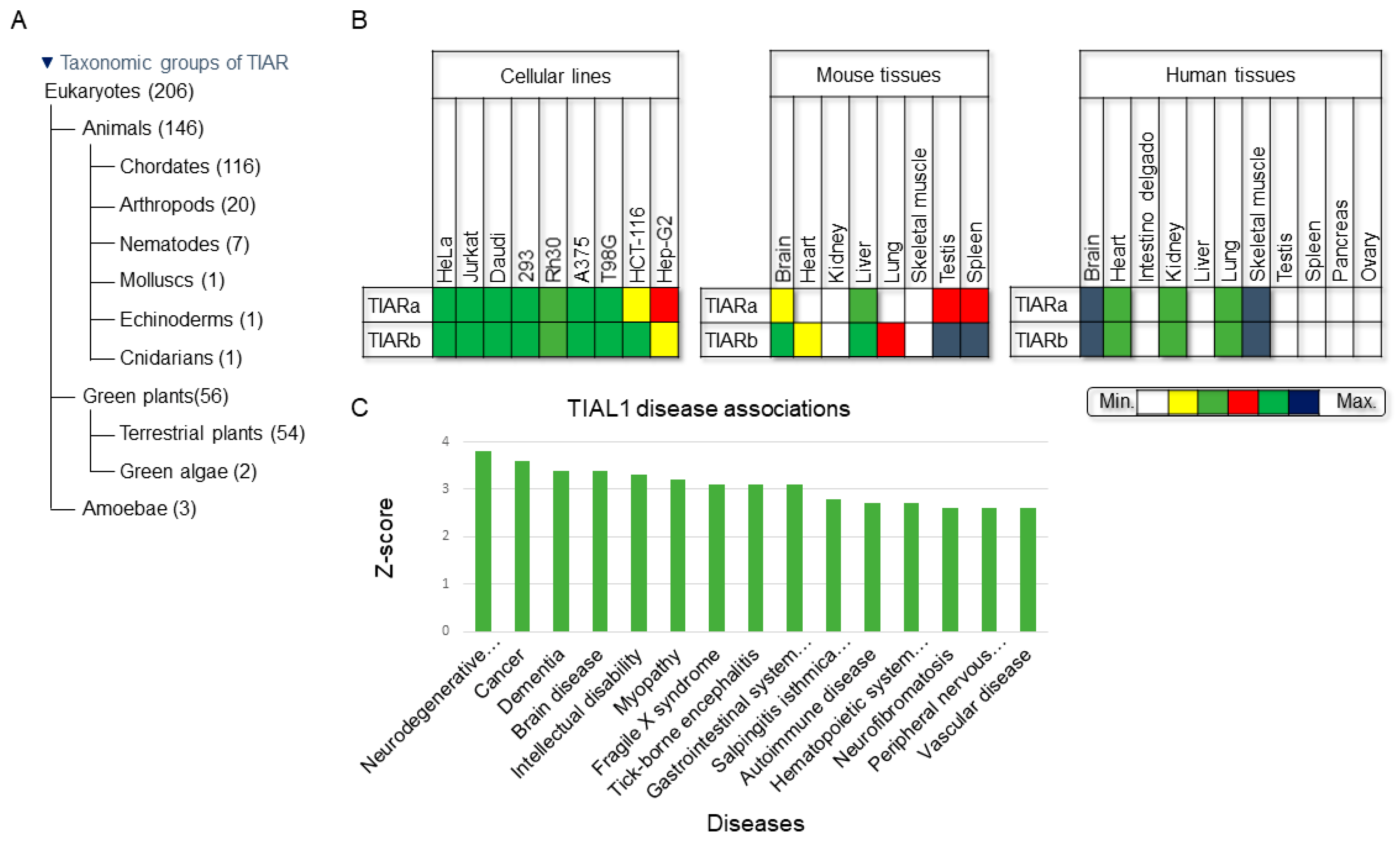 Ijms 23 07836 g004 Ijms 23 07836 g004