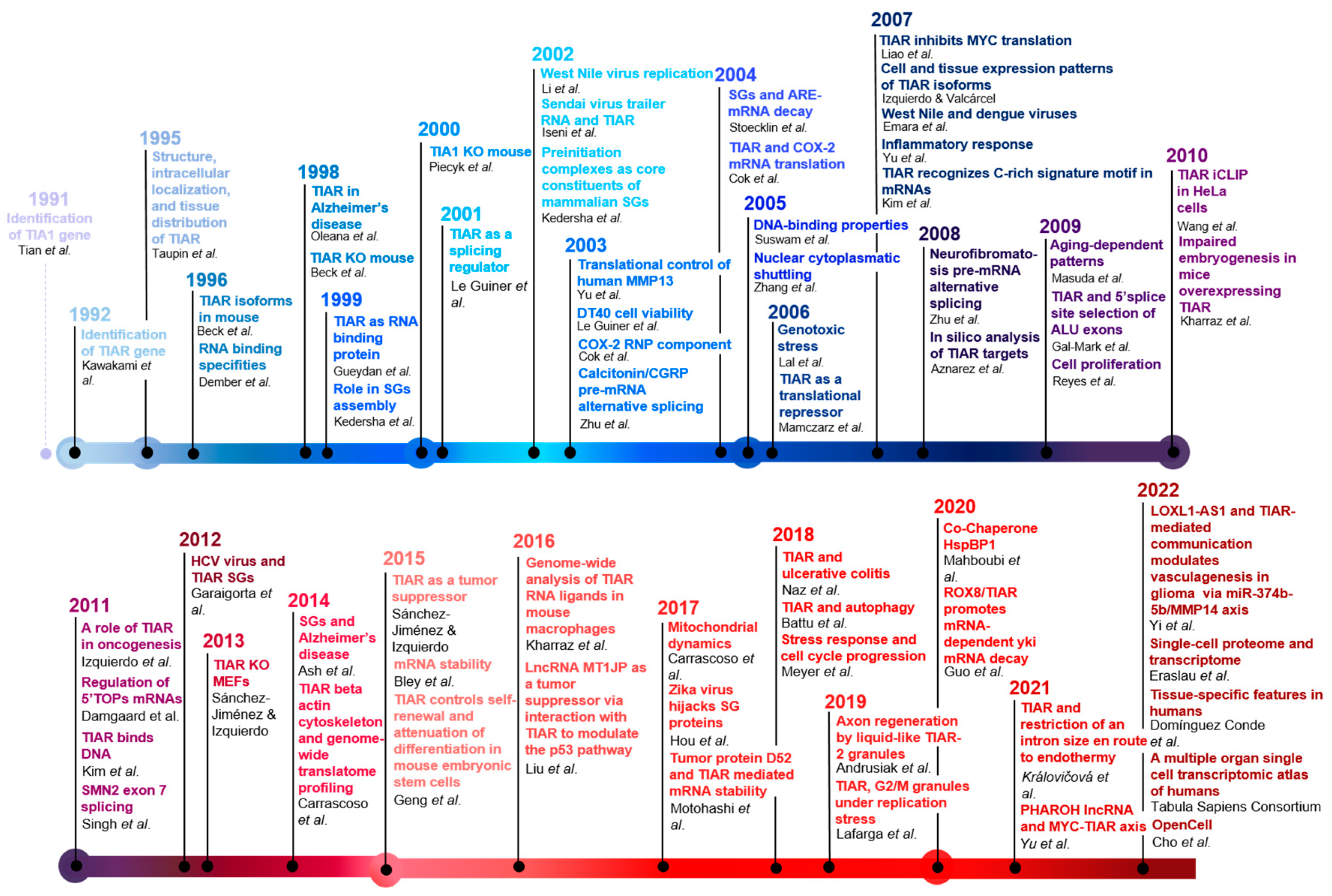 Ijms 23 07836 g006 Ijms 23 07836 g006