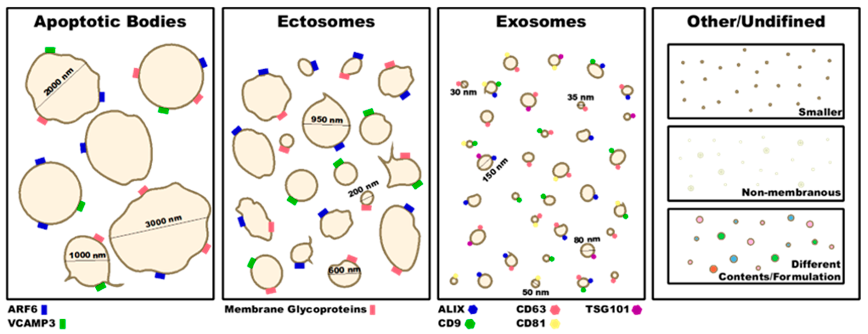 Ijms 23 07837 g001 Ijms 23 07837 g001