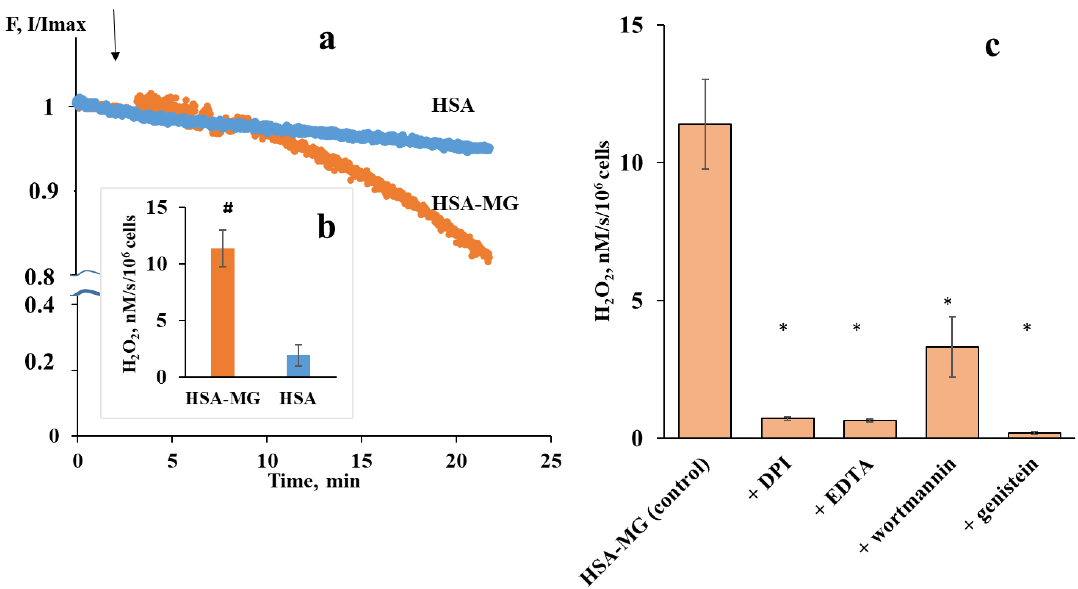 Ijms 23 07840 g002 Ijms 23 07840 g002