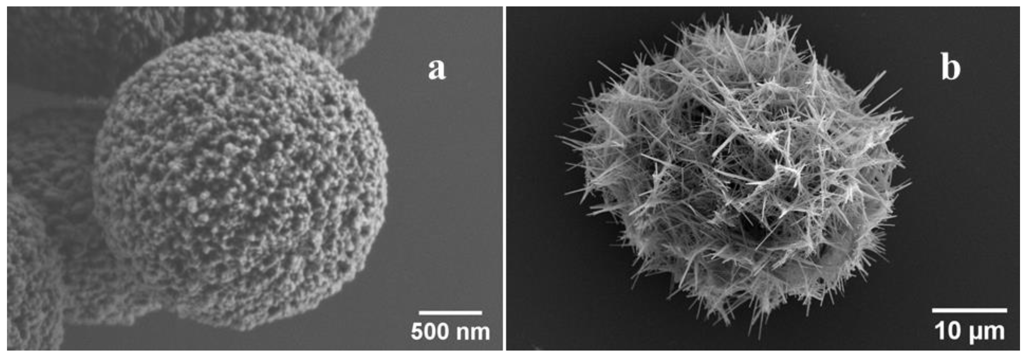 Ijms 23 07840 g007 Ijms 23 07840 g007