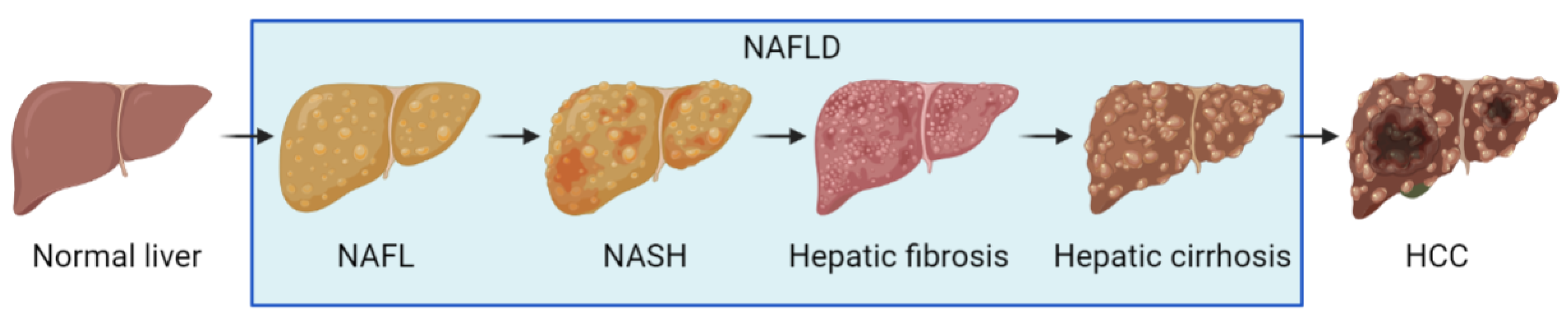 Ijms 23 07841 g001 Ijms 23 07841 g001