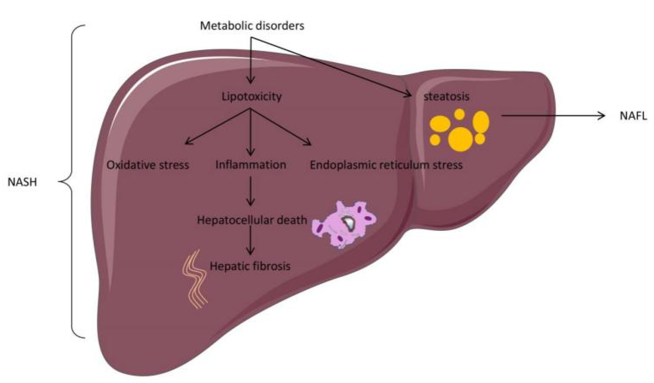 Ijms 23 07841 g002 Ijms 23 07841 g002