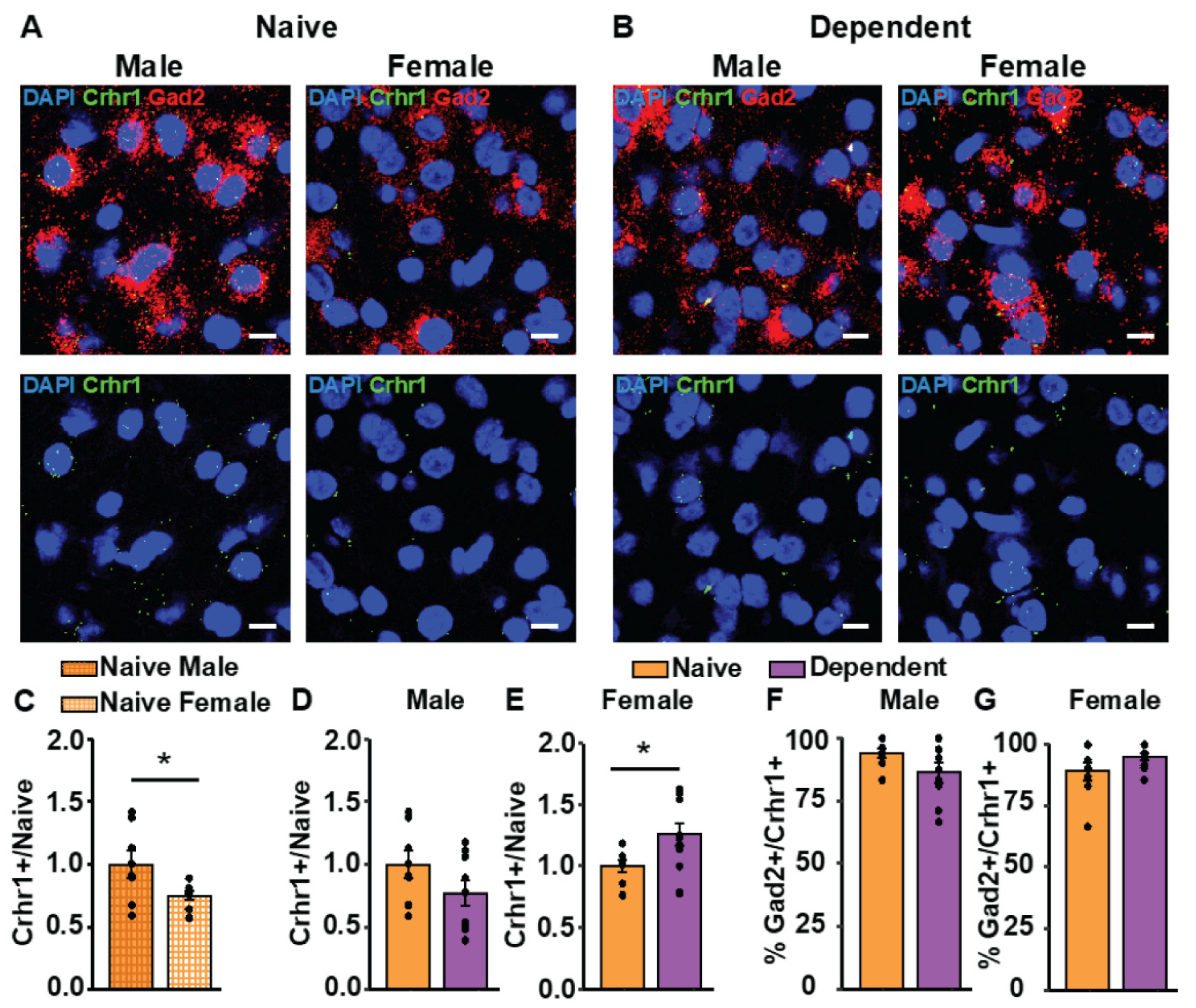 Ijms 23 07842 g005 550