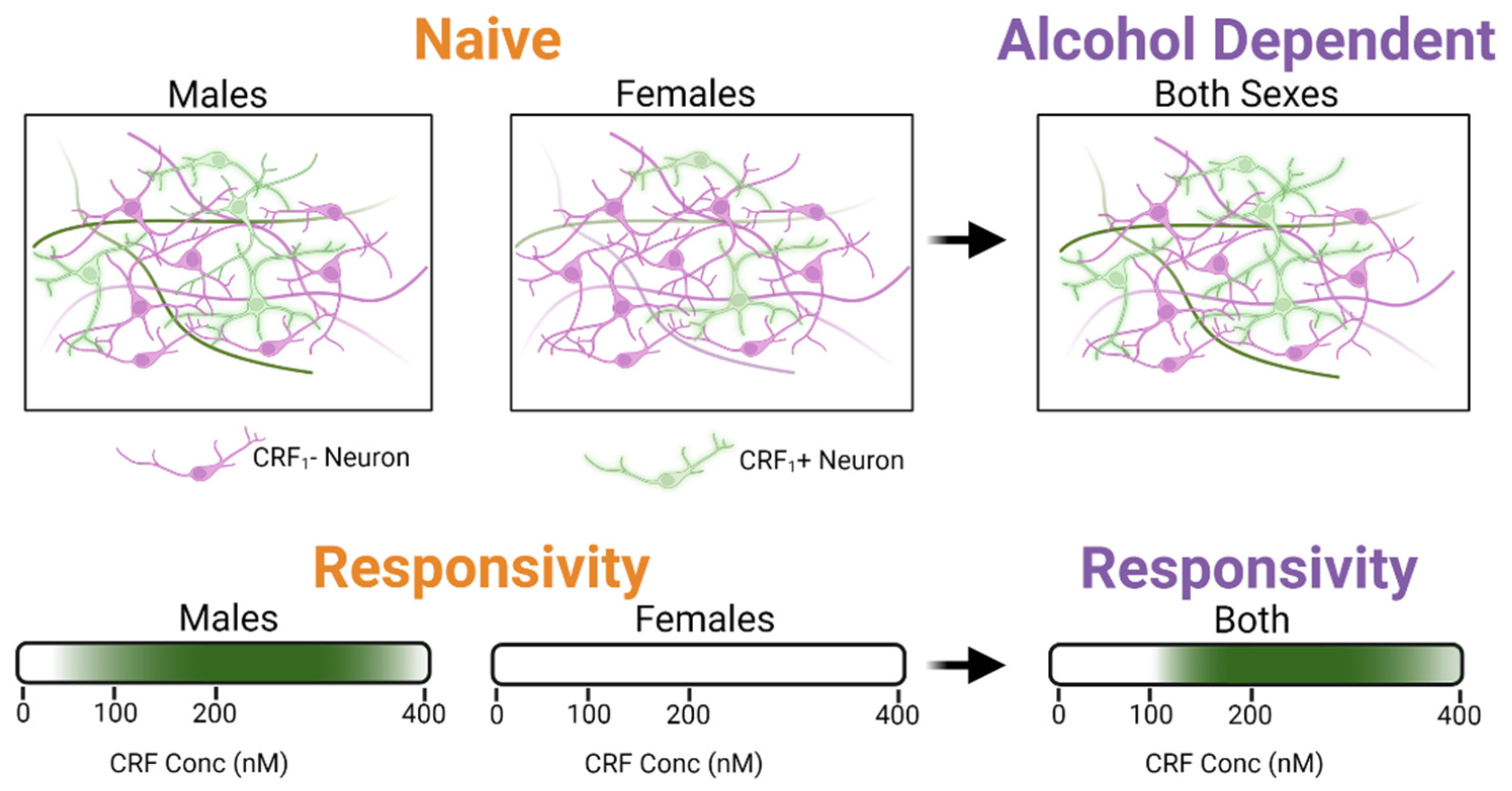 Ijms 23 07842 g007 550