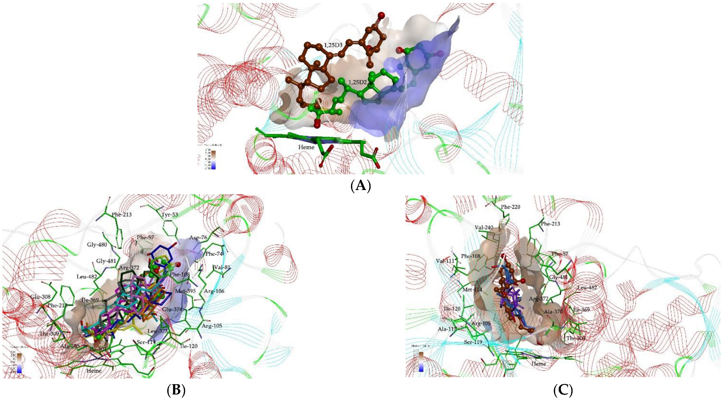 Ijms 23 07845 g002 550