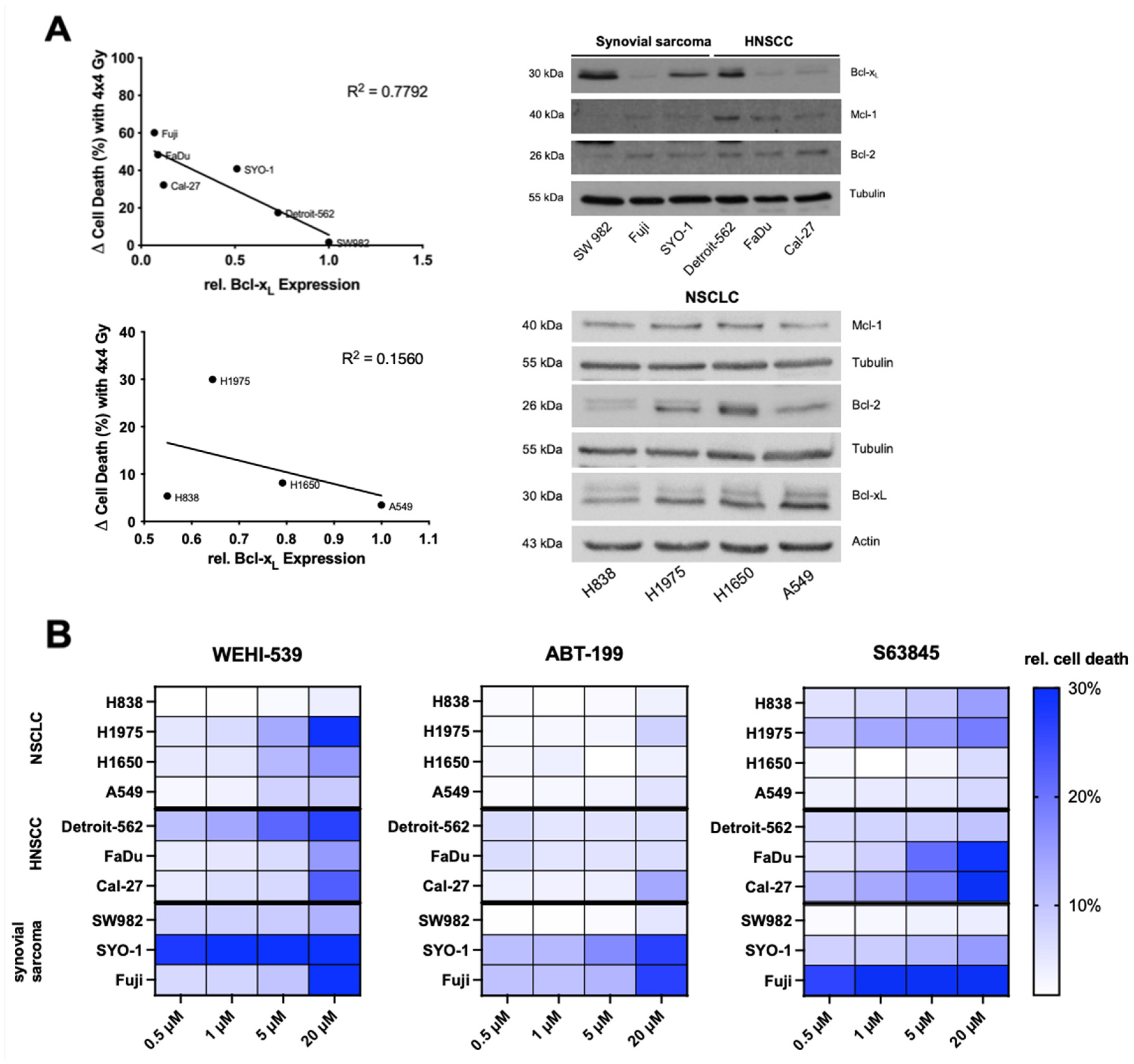 Ijms 23 07850 g002 550