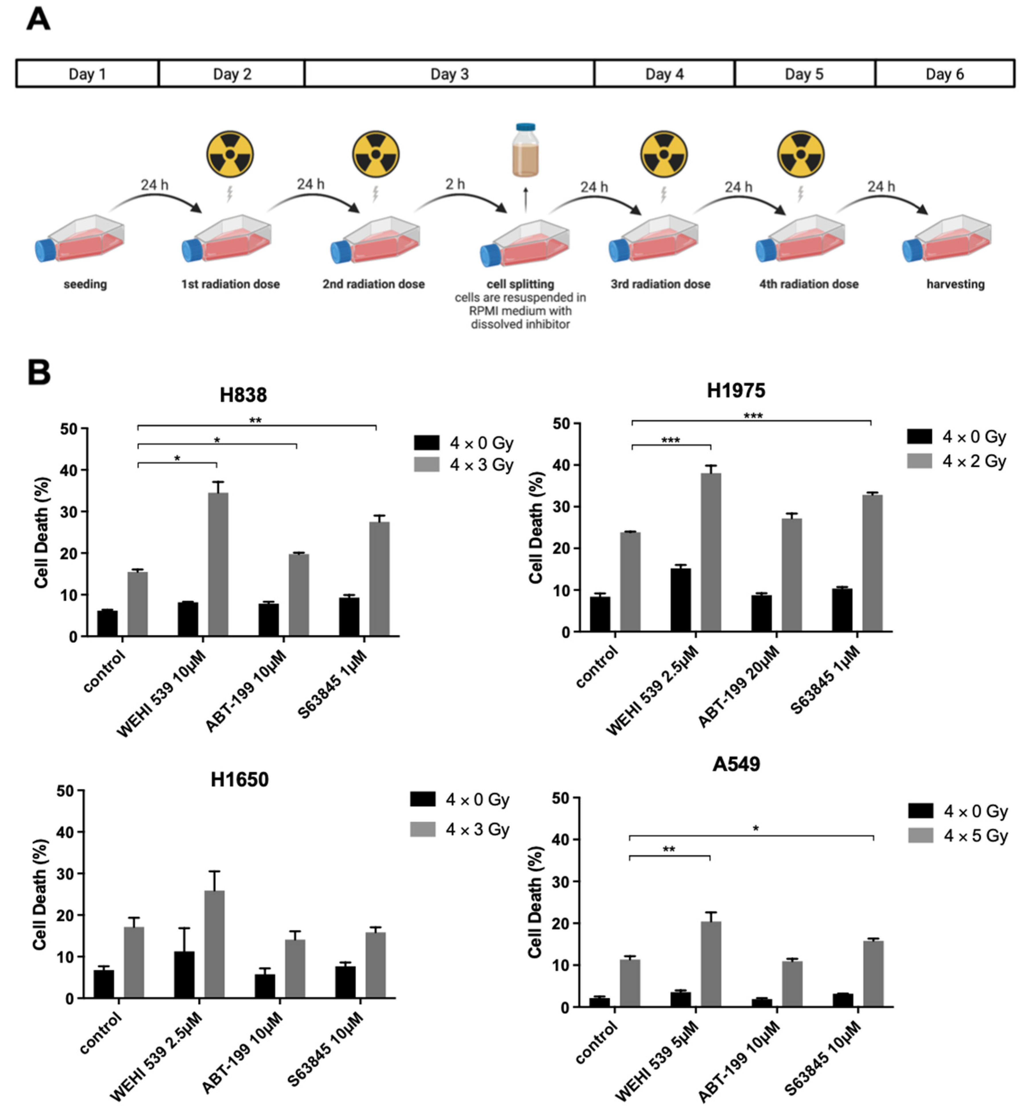 Ijms 23 07850 g003 550