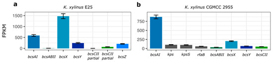 Characterization of the Putative Acylated Cellulose Synthase Operon in ...