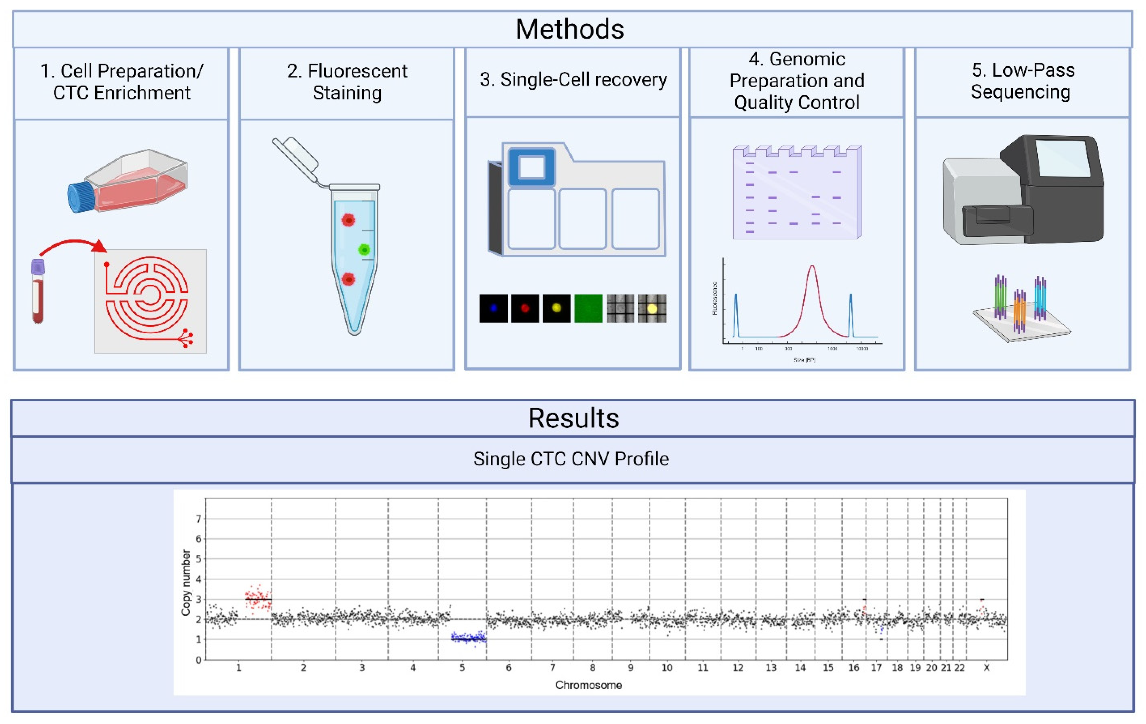 Ijms 23 07852 g001 550