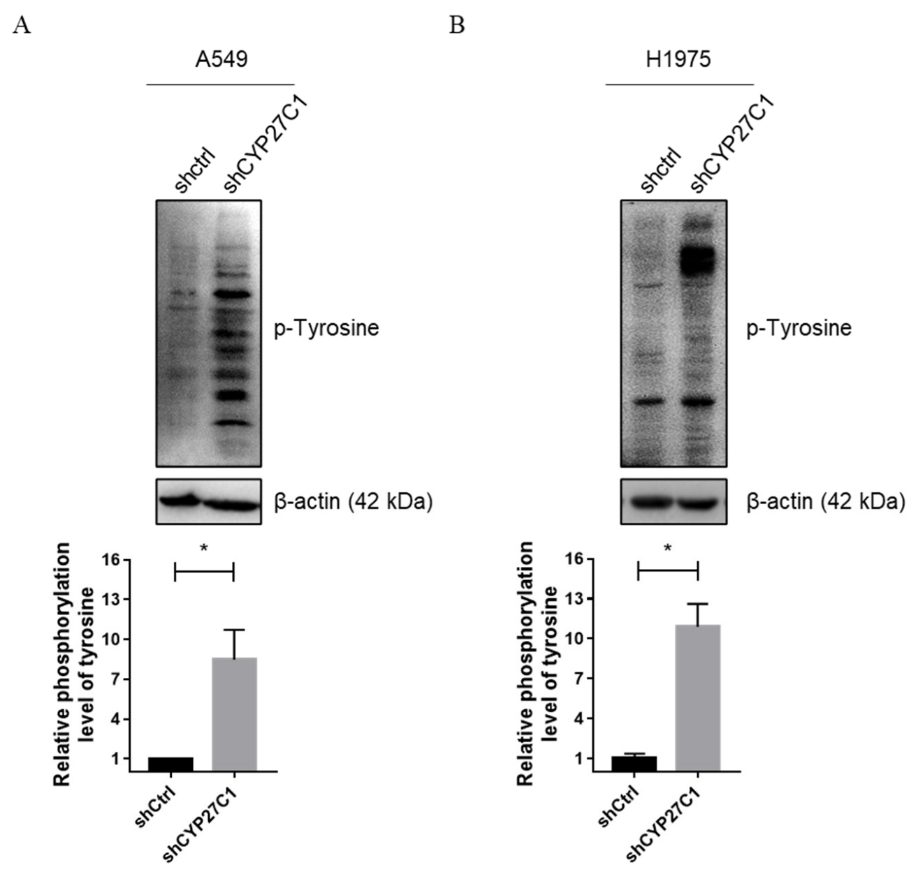 Ijms 23 07853 g003 Ijms 23 07853 g003