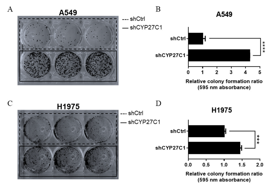 Ijms 23 07853 g004 Ijms 23 07853 g004