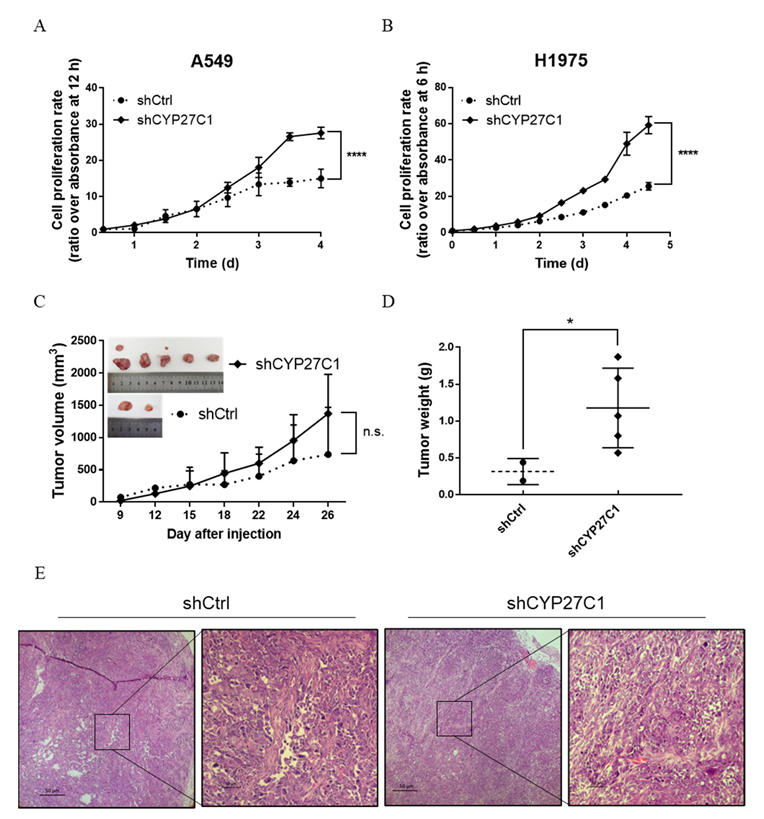 Ijms 23 07853 g005 Ijms 23 07853 g005