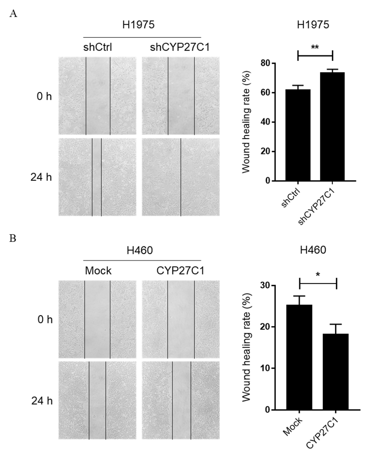 Ijms 23 07853 g006 Ijms 23 07853 g006