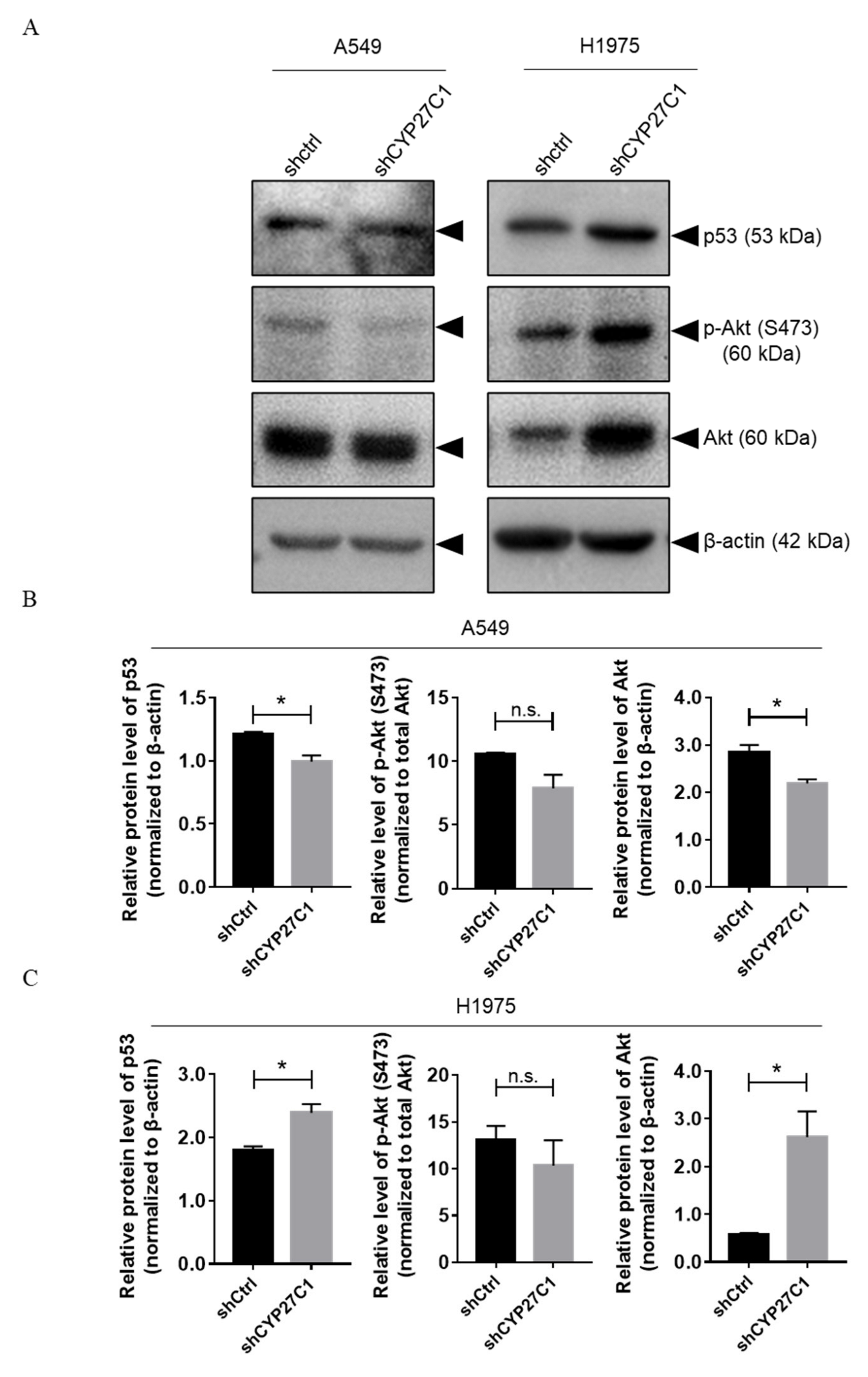 Ijms 23 07853 g007 Ijms 23 07853 g007