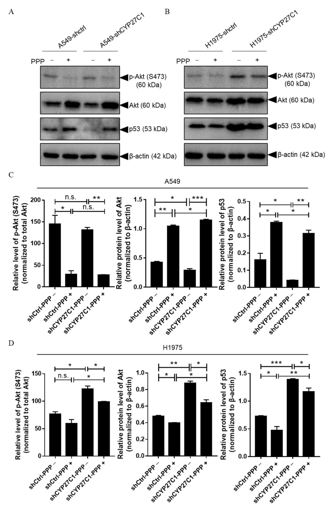 Ijms 23 07853 g009 Ijms 23 07853 g009